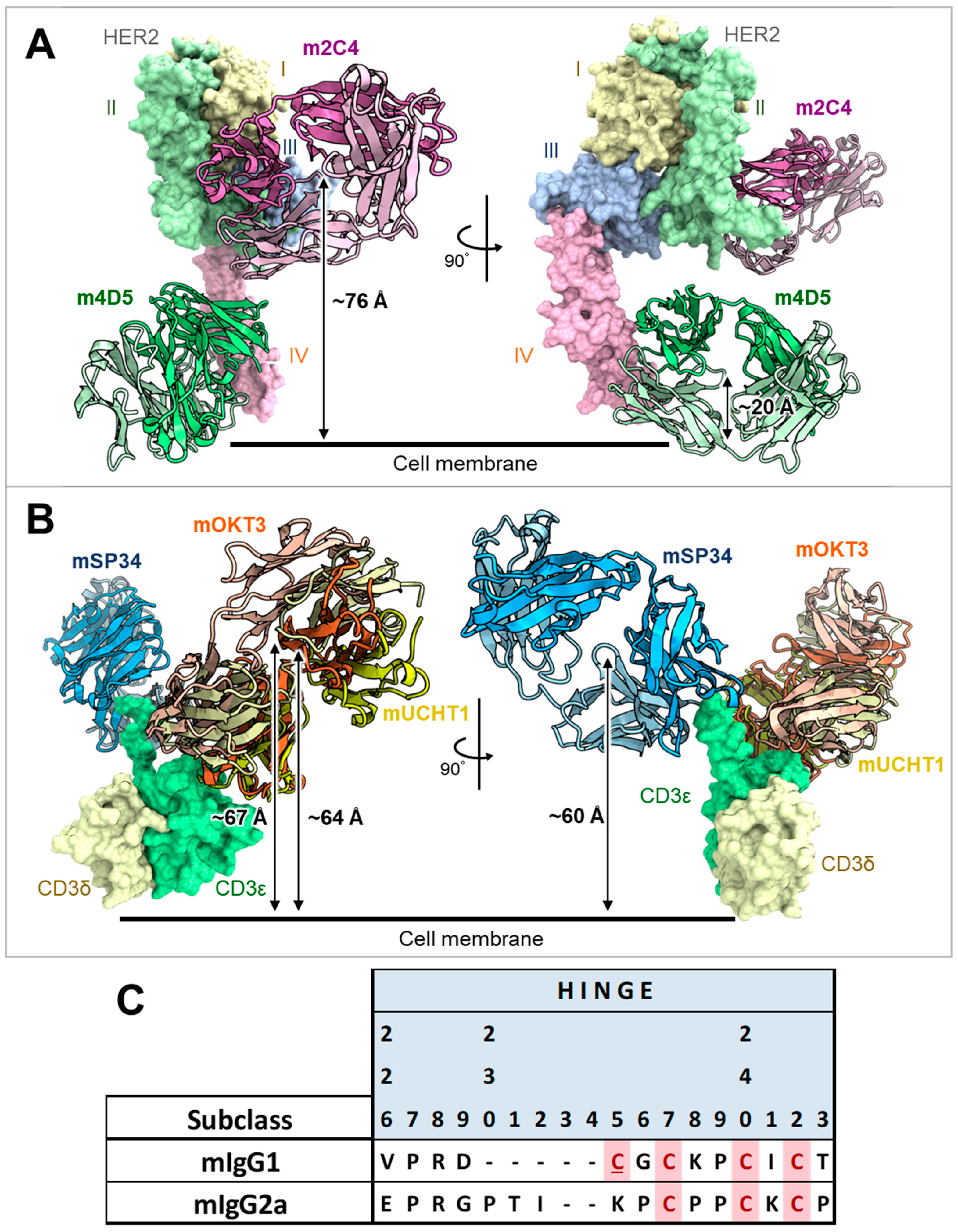 Antibodies 13 00003 g006