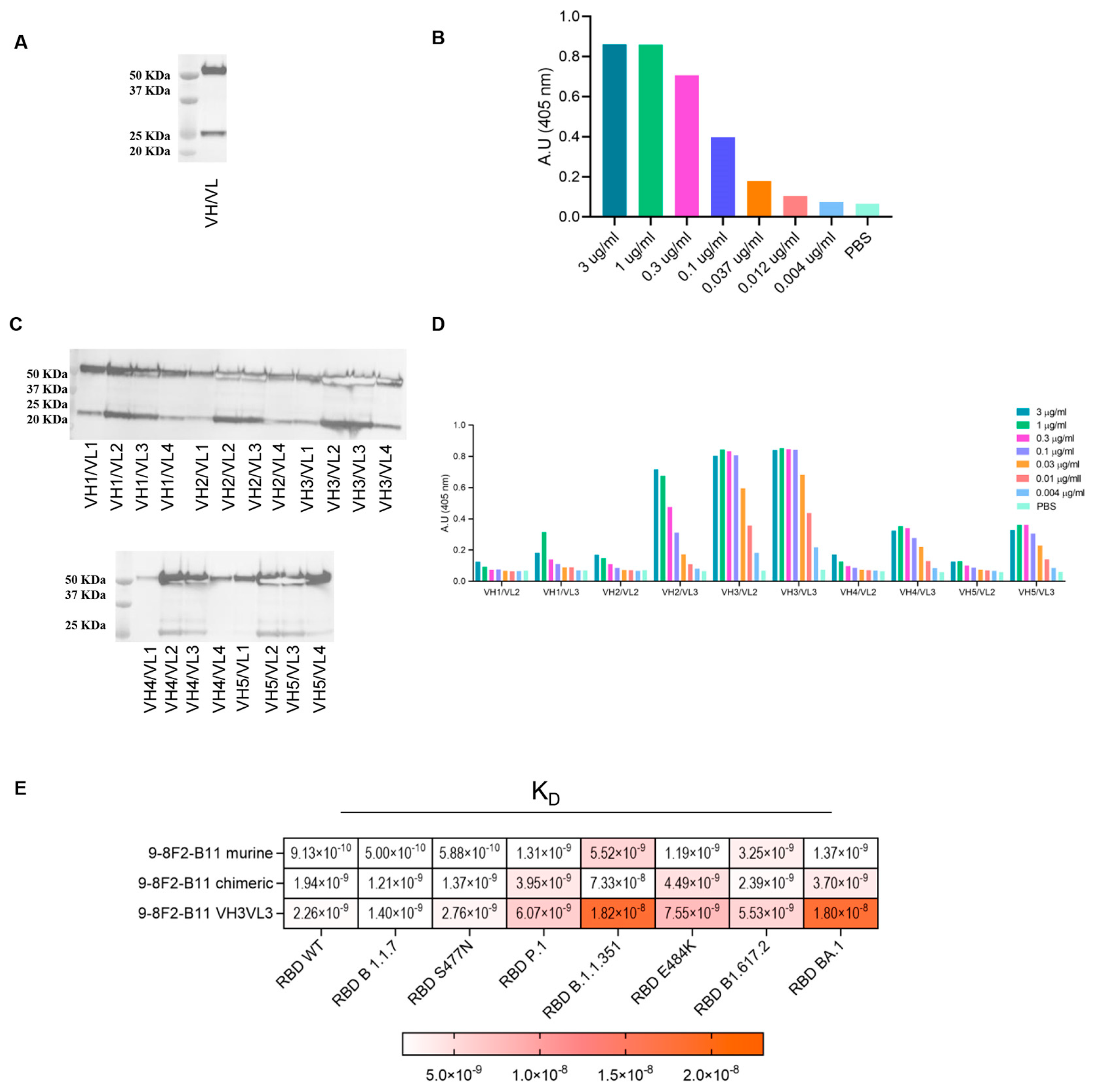 Antibodies 13 00005 g005