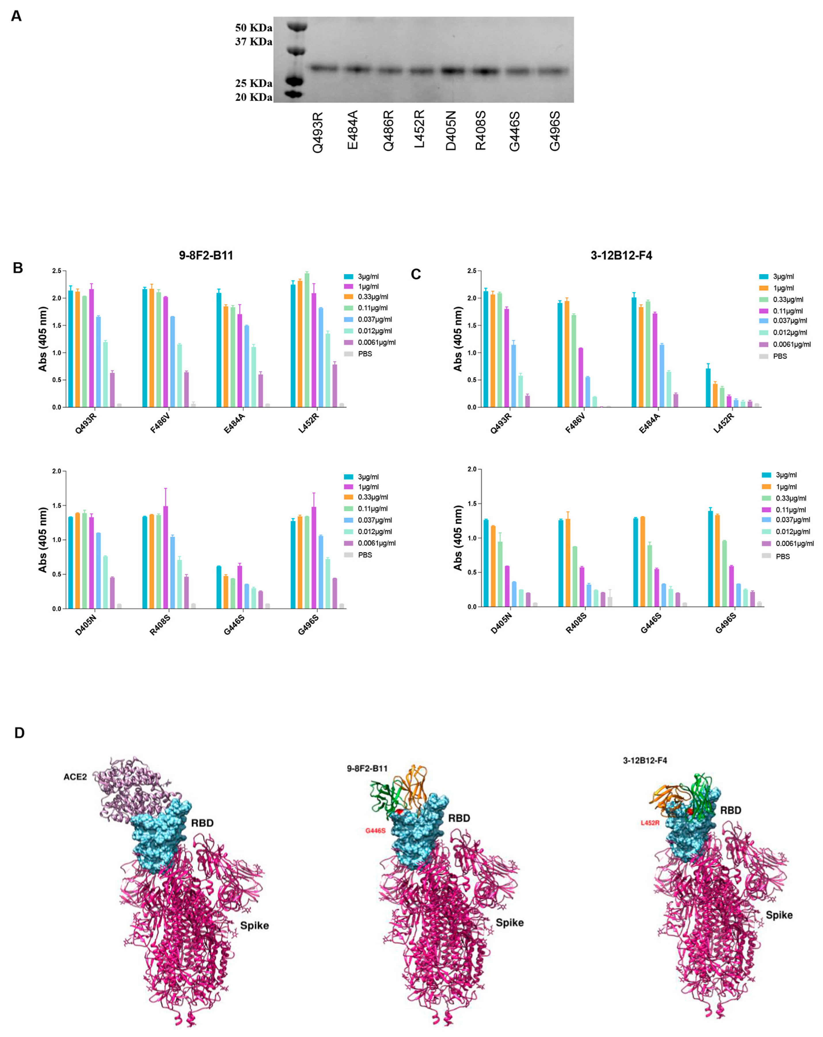 Antibodies 13 00005 g007