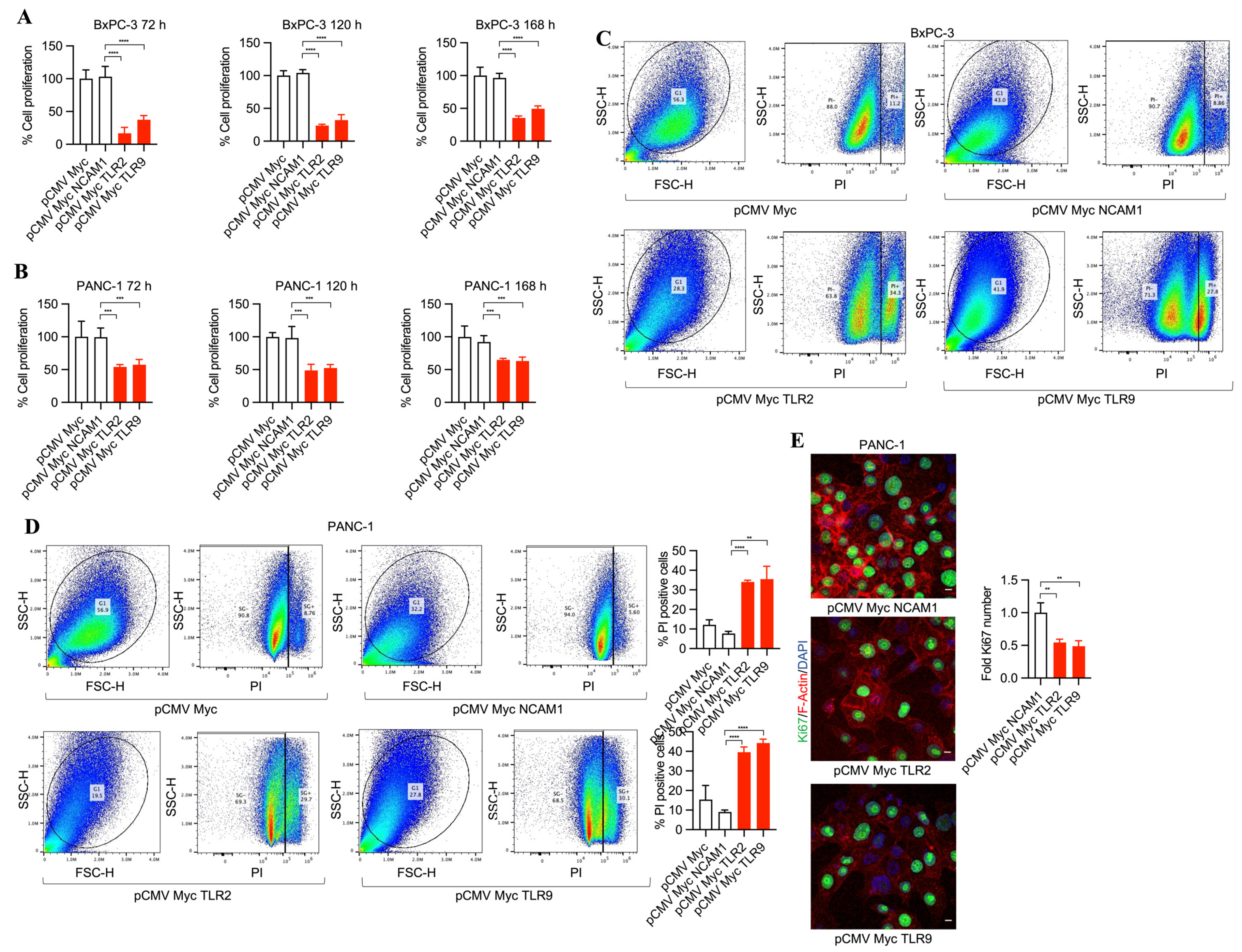 Antibodies 13 00011 g001