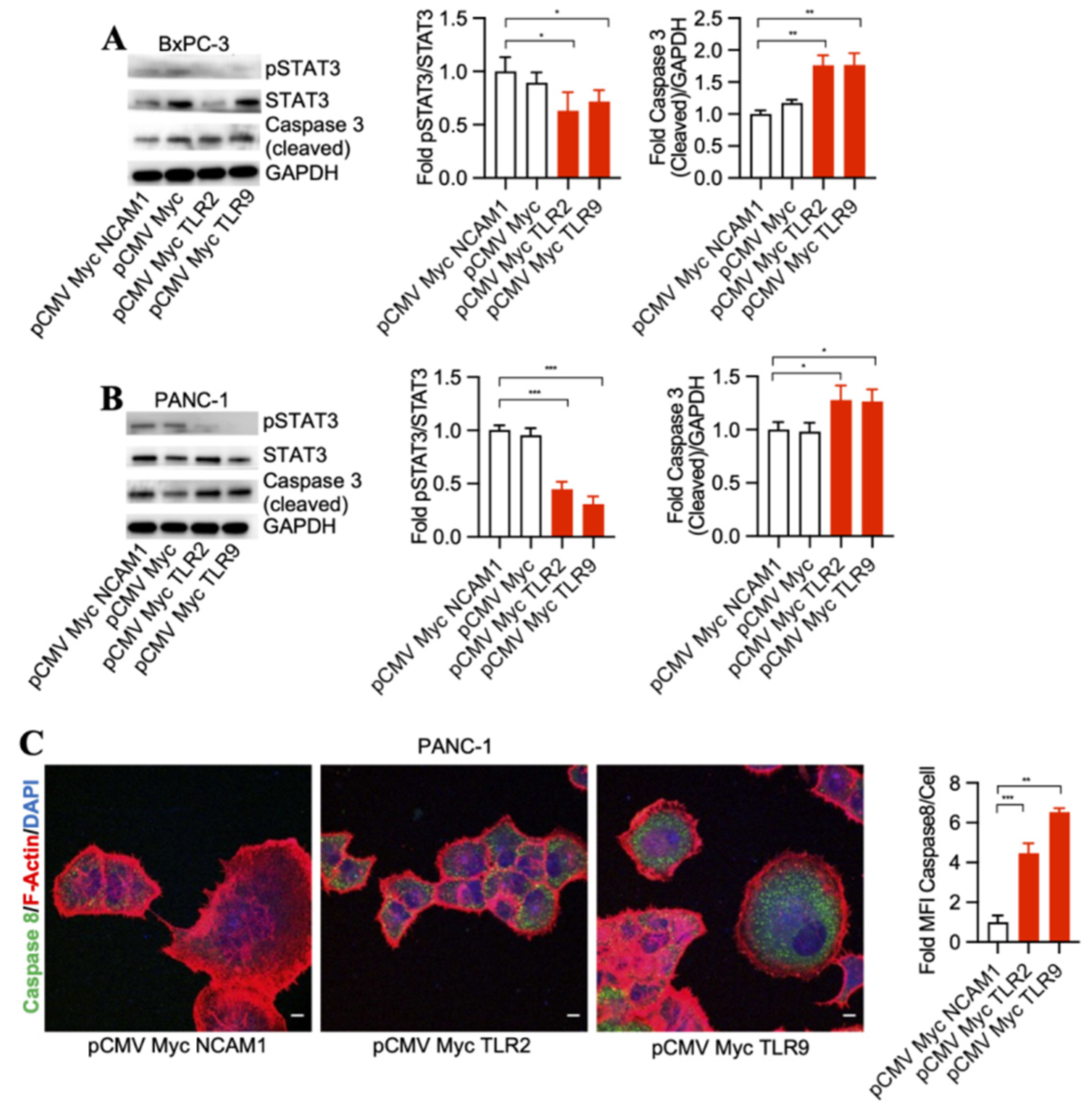 Antibodies 13 00011 g002