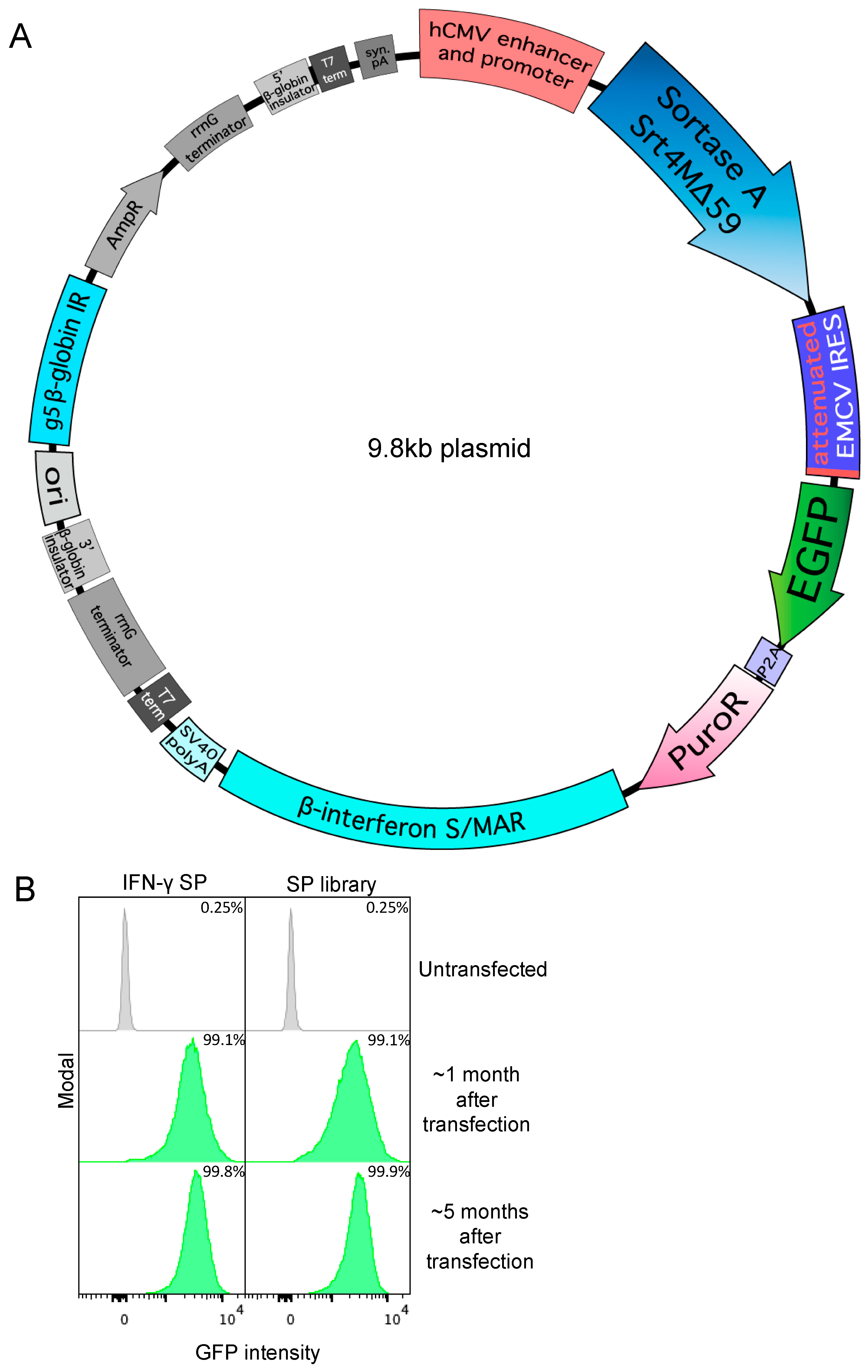 Antibodies 13 00018 g001 Antibodies 13 00018 g001