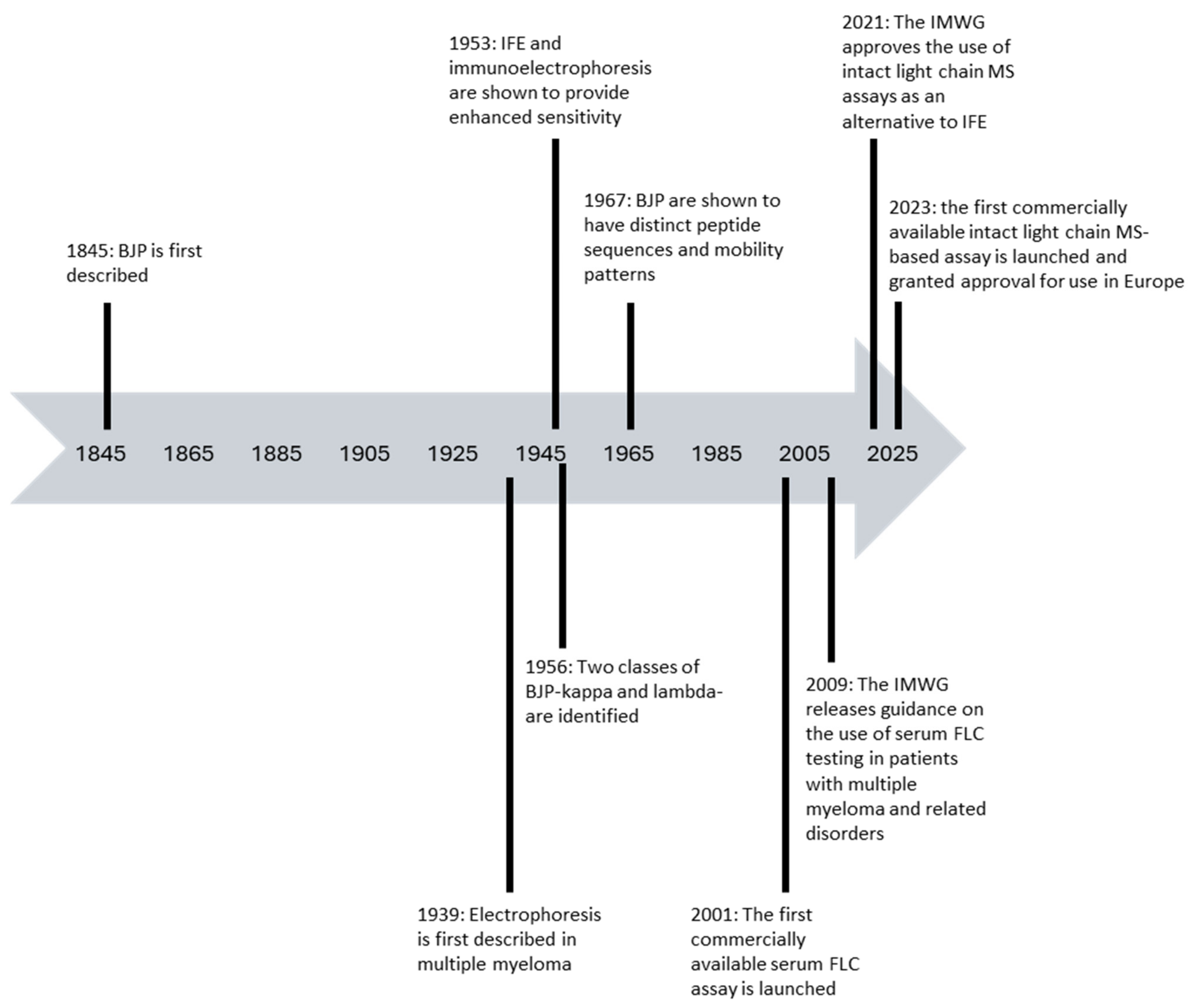Antibodies 13 00019 g001
