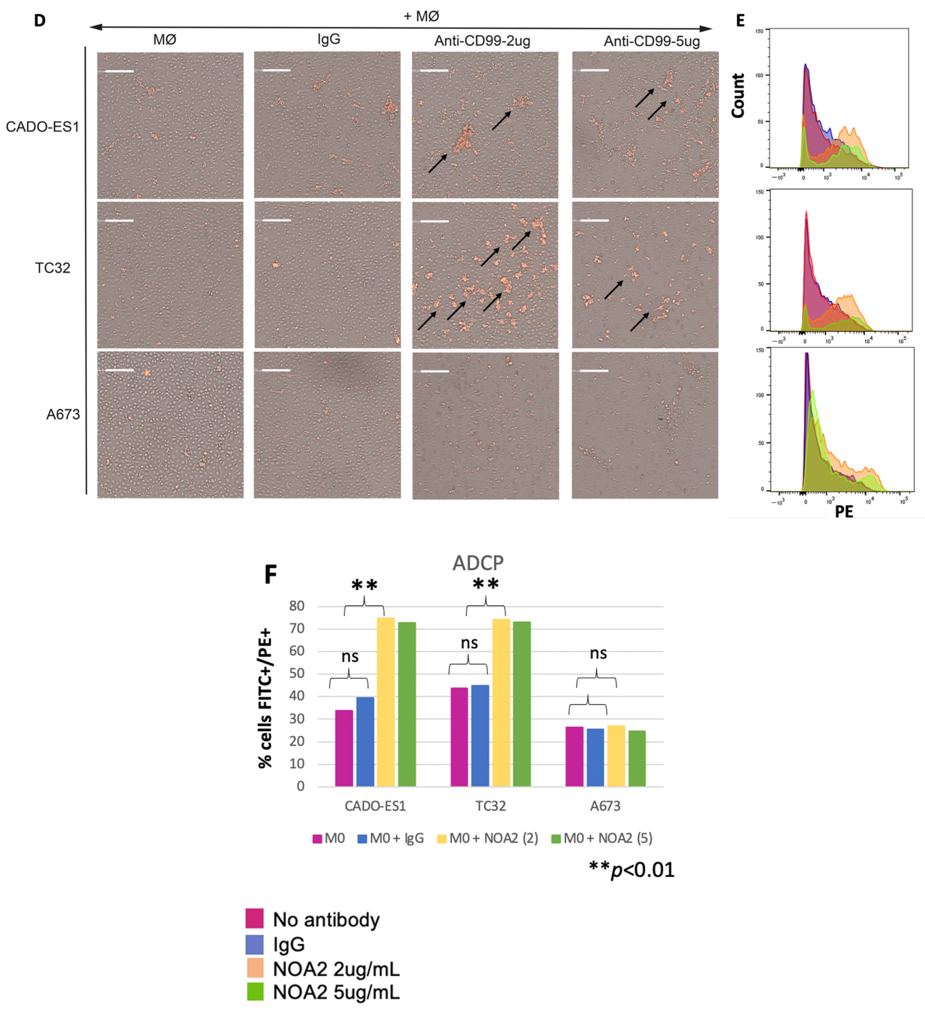 Antibodies 13 00024 g002b