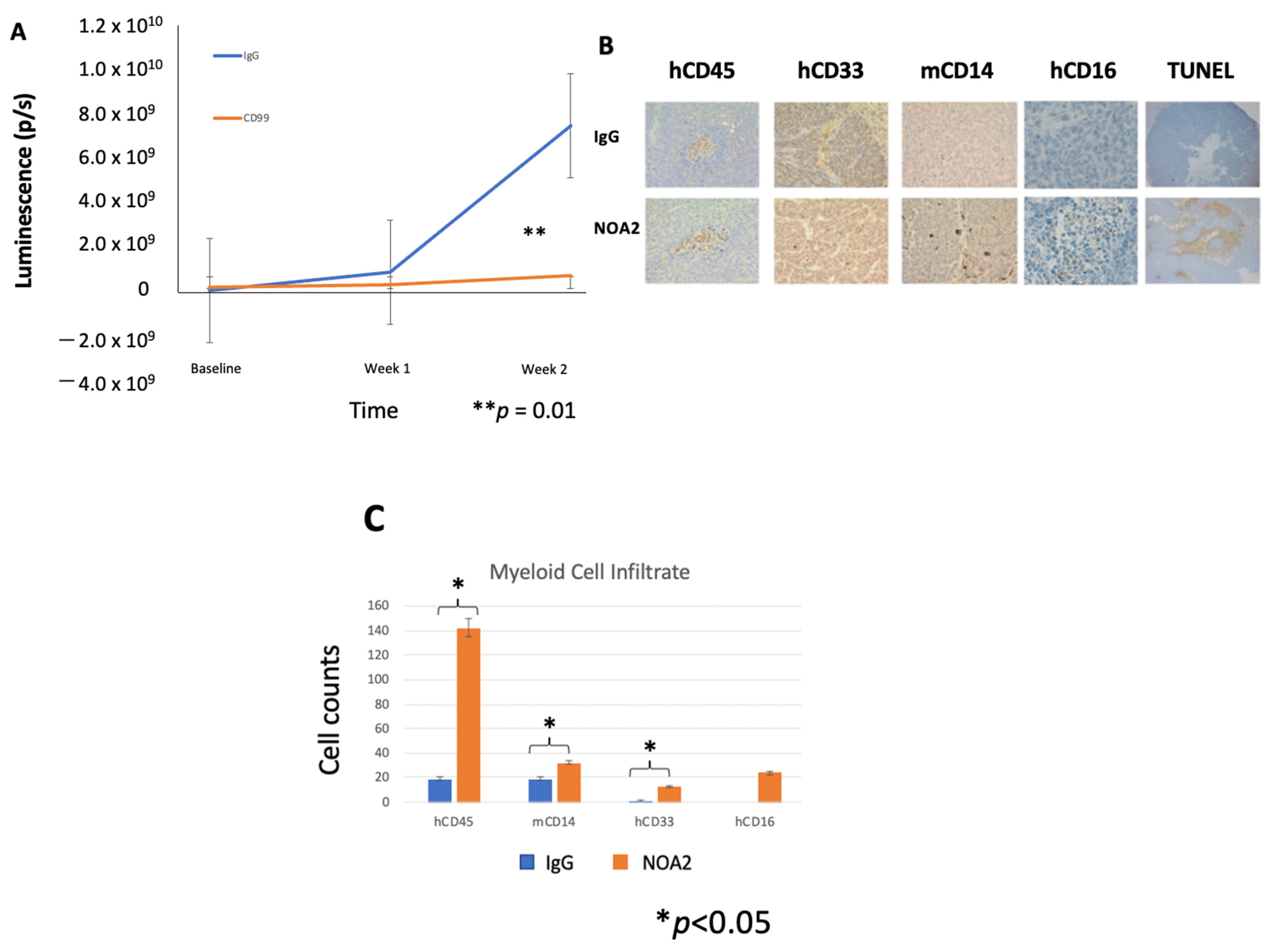 Antibodies 13 00024 g003a