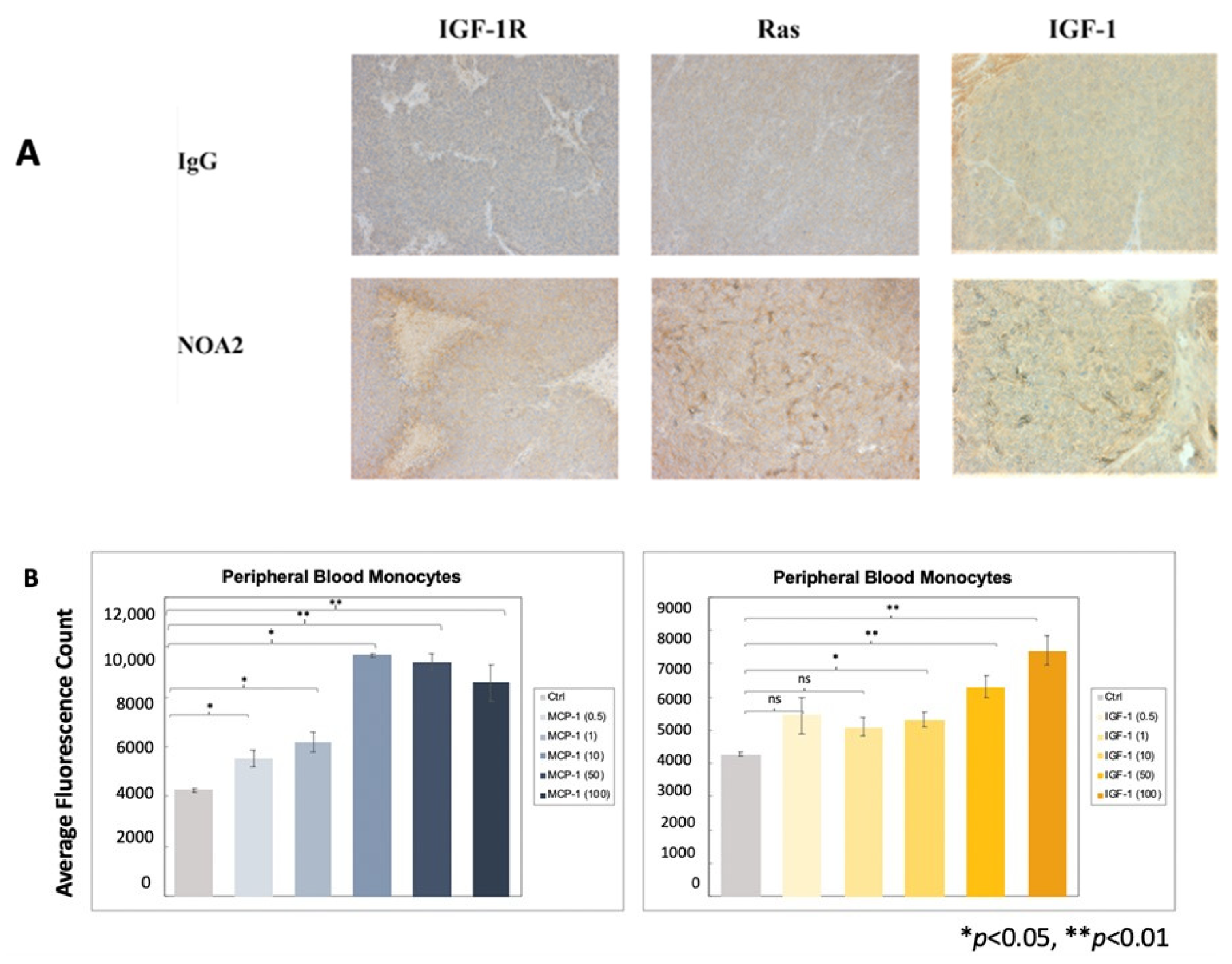 Antibodies 13 00024 g004