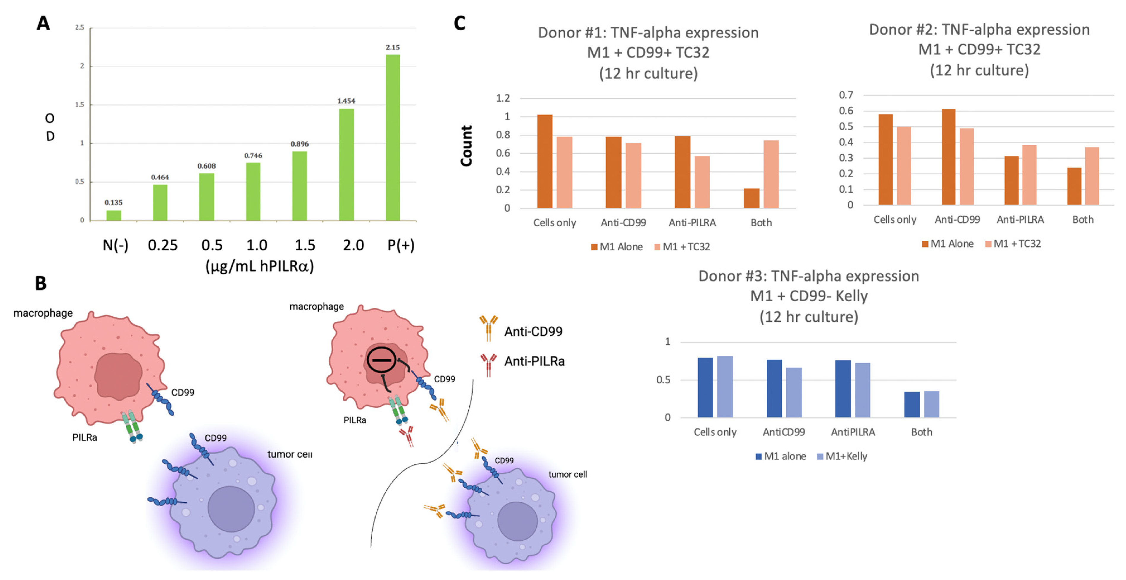 Antibodies 13 00024 g005