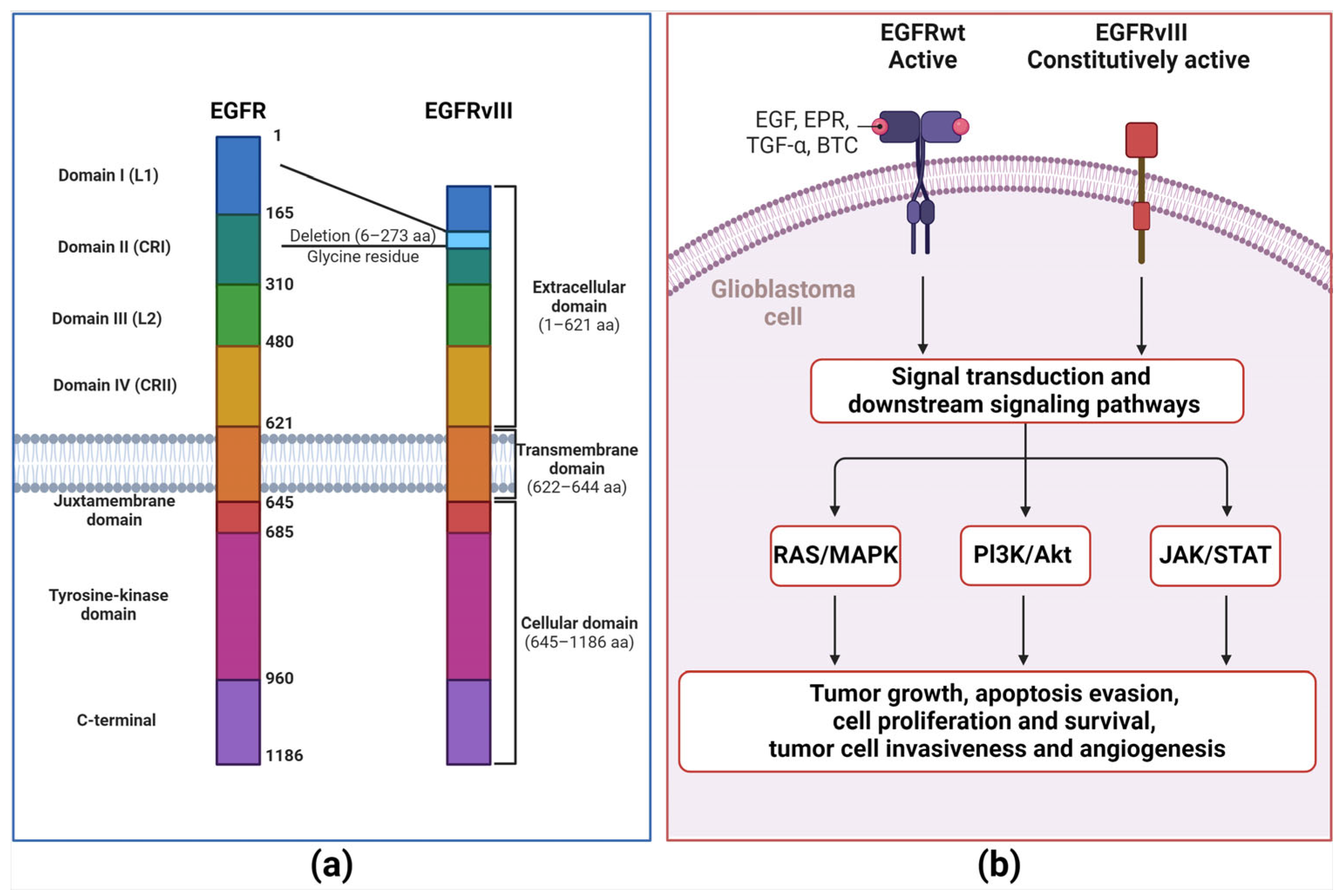 Antibodies 13 00025 g002
