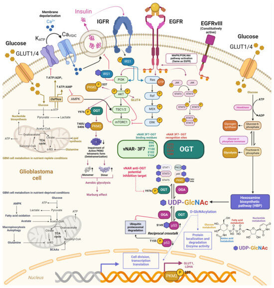 Antibodies 13 00025 g006