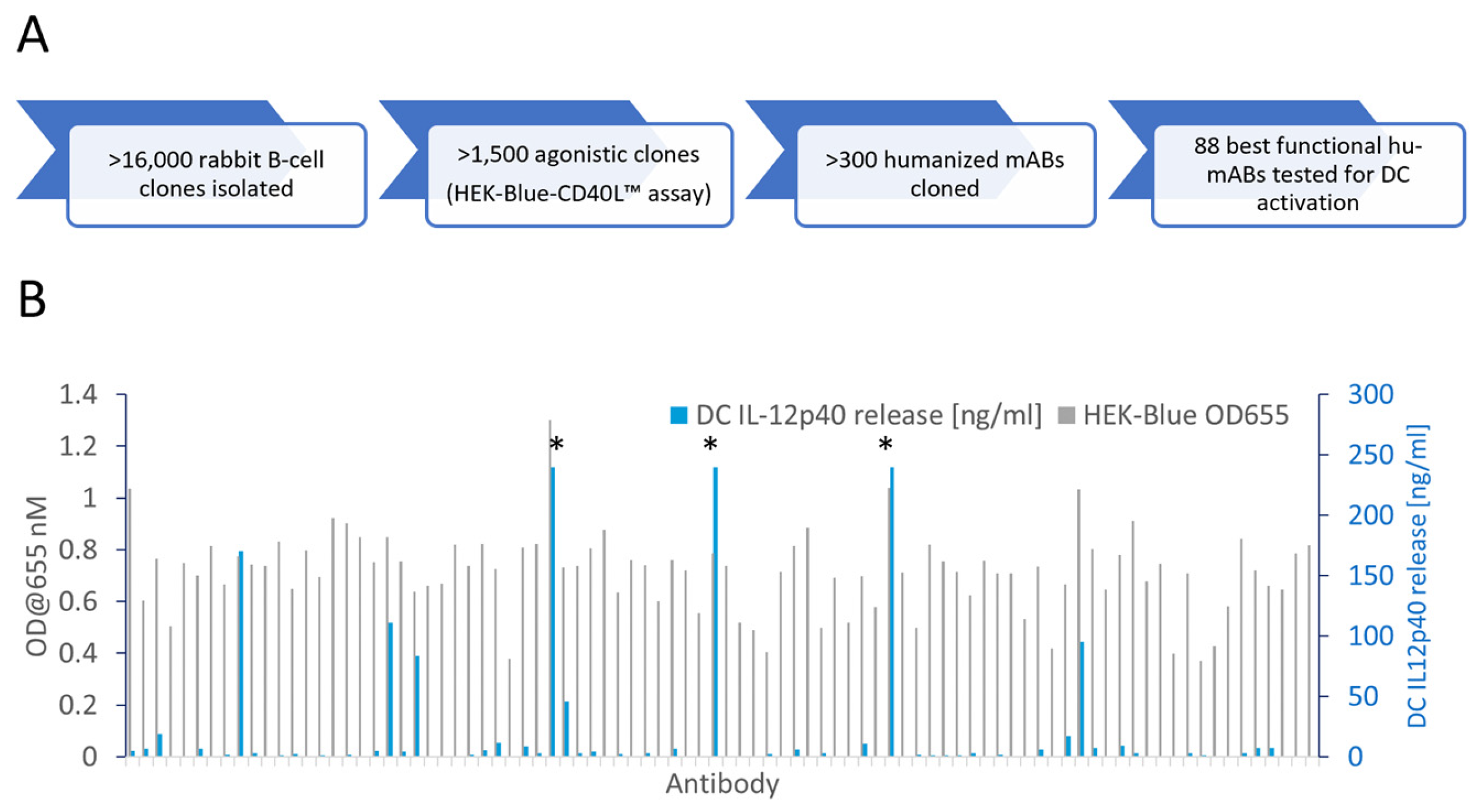 Antibodies 13 00031 g001