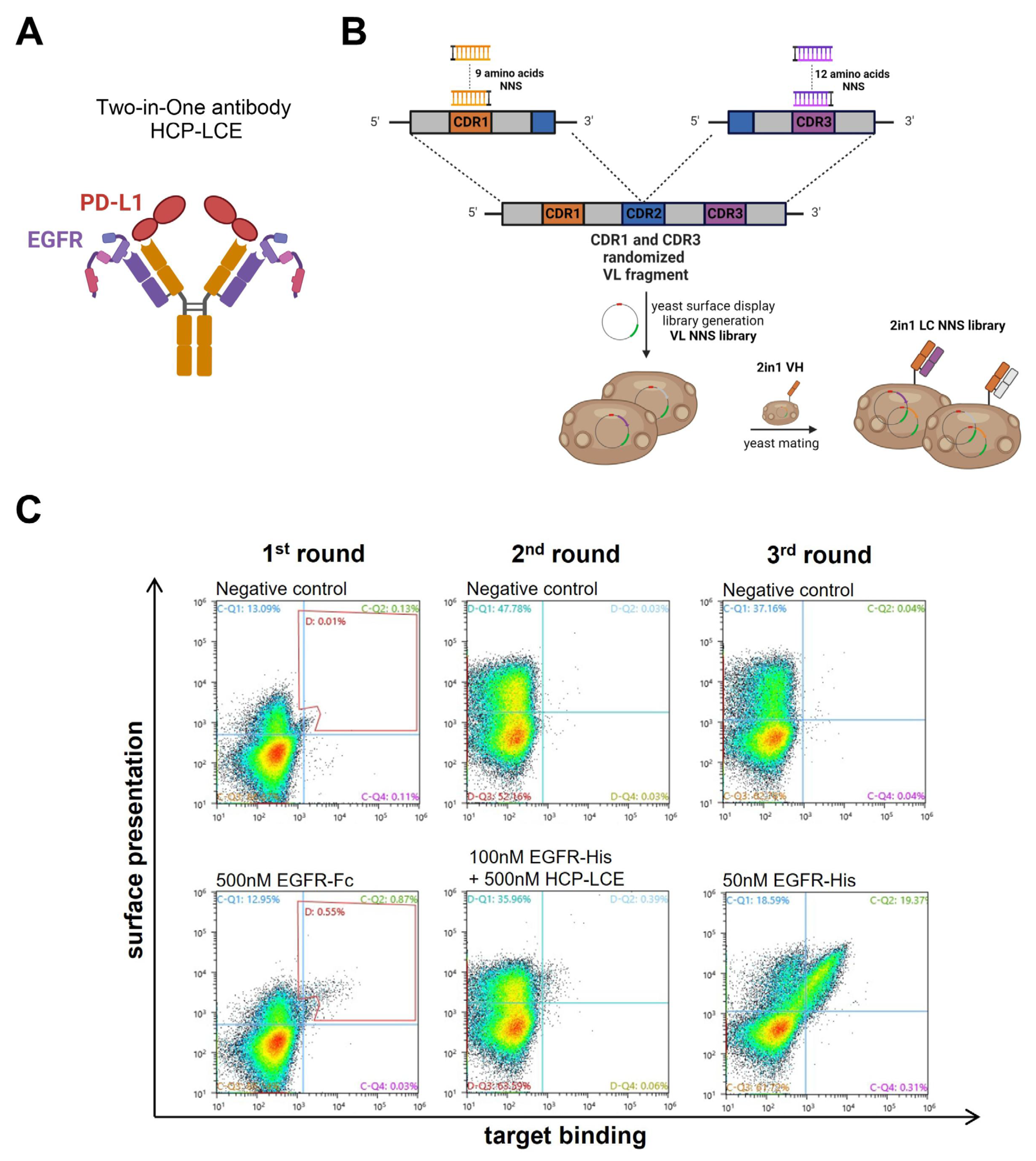 Antibodies 13 00036 g001