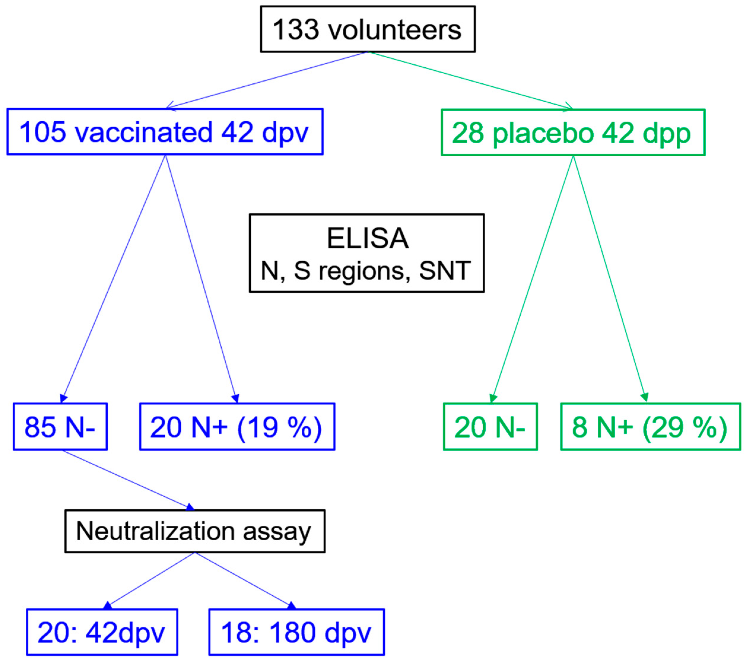 Antibodies 13 00041 g001