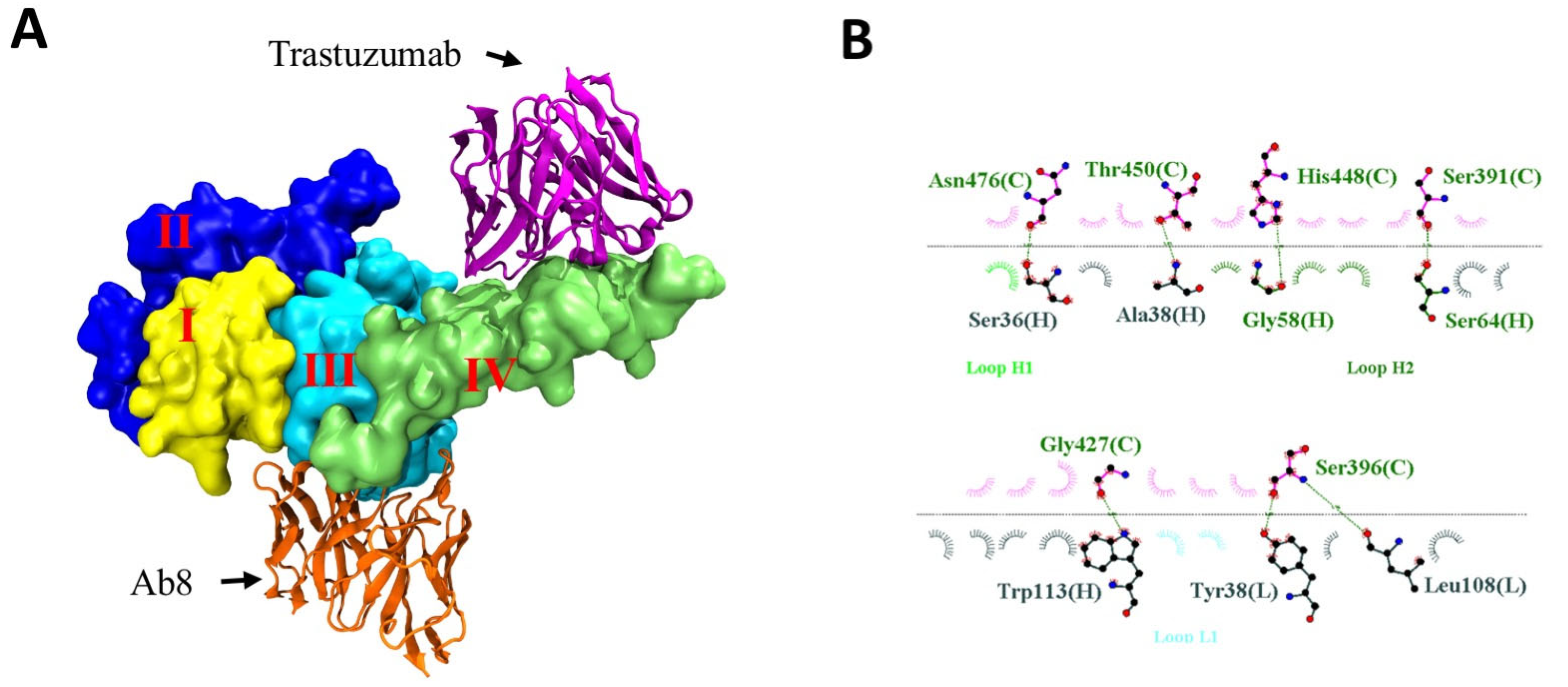 Antibodies 13 00045 g002