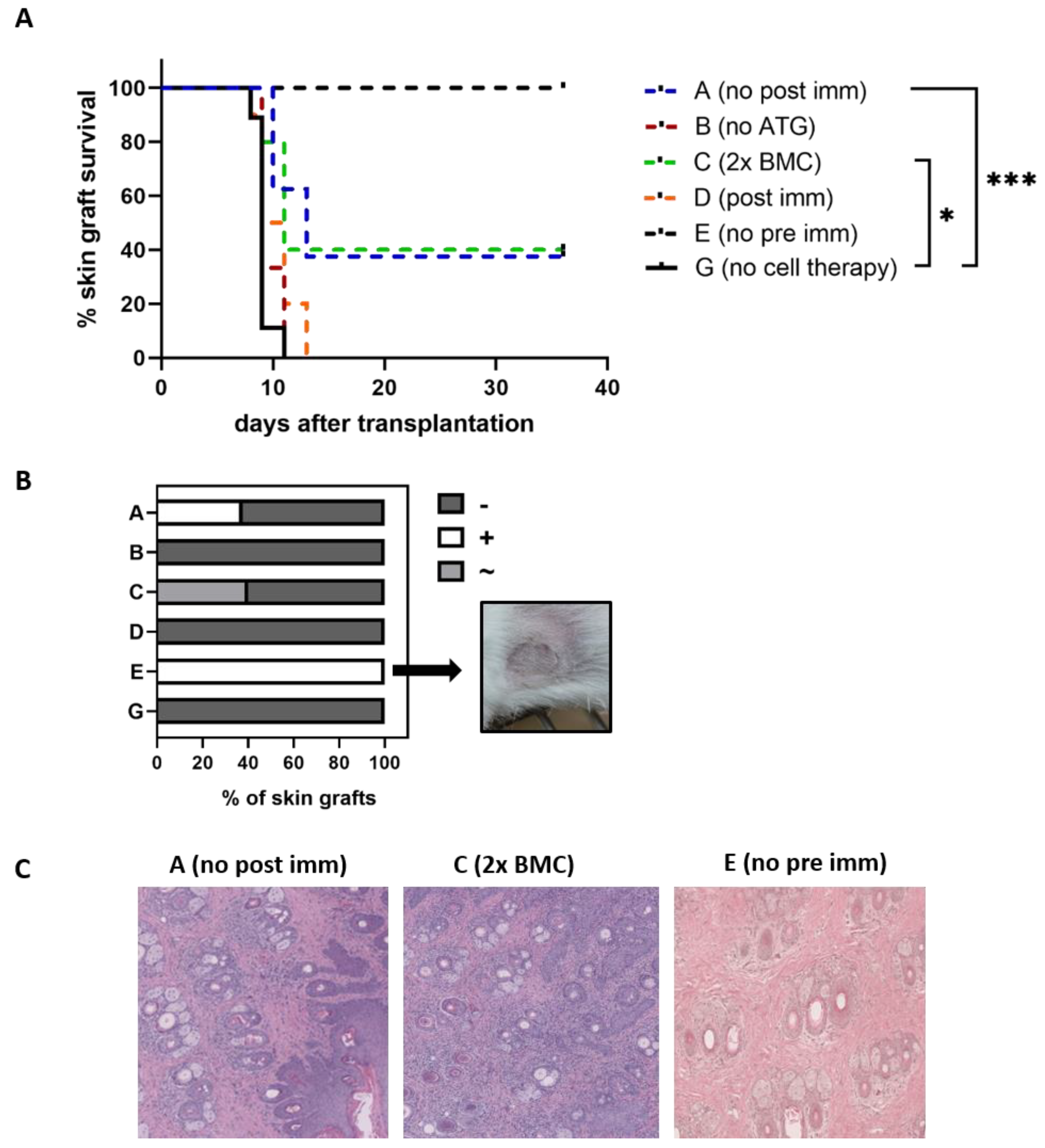 Antibodies 13 00048 g007