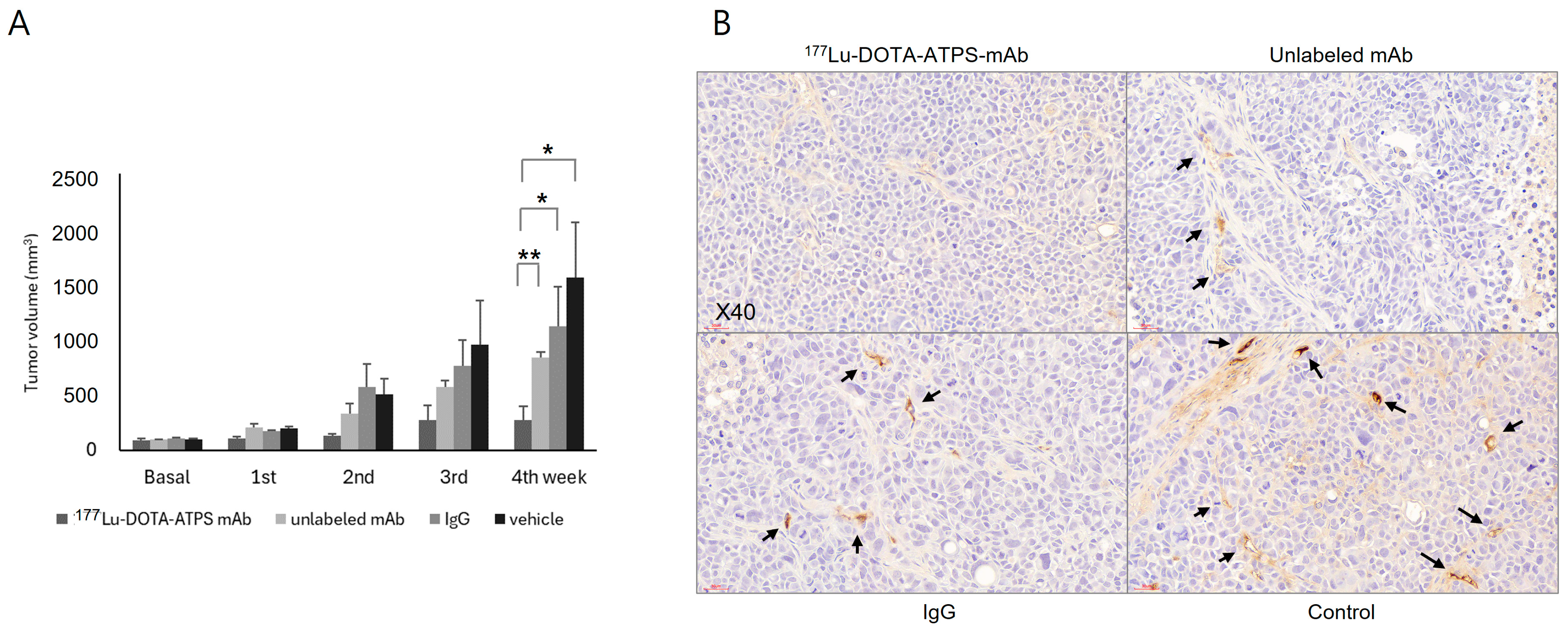 Antibodies 13 00051 g007a