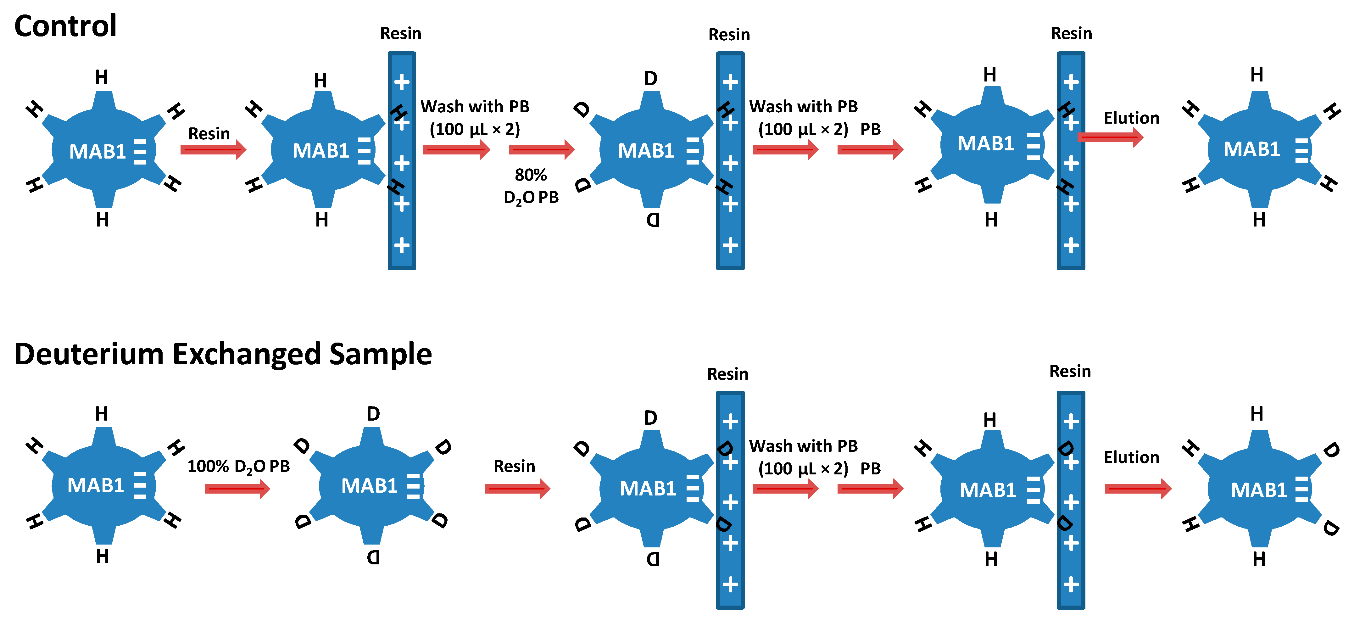 Antibodies 13 00052 g002