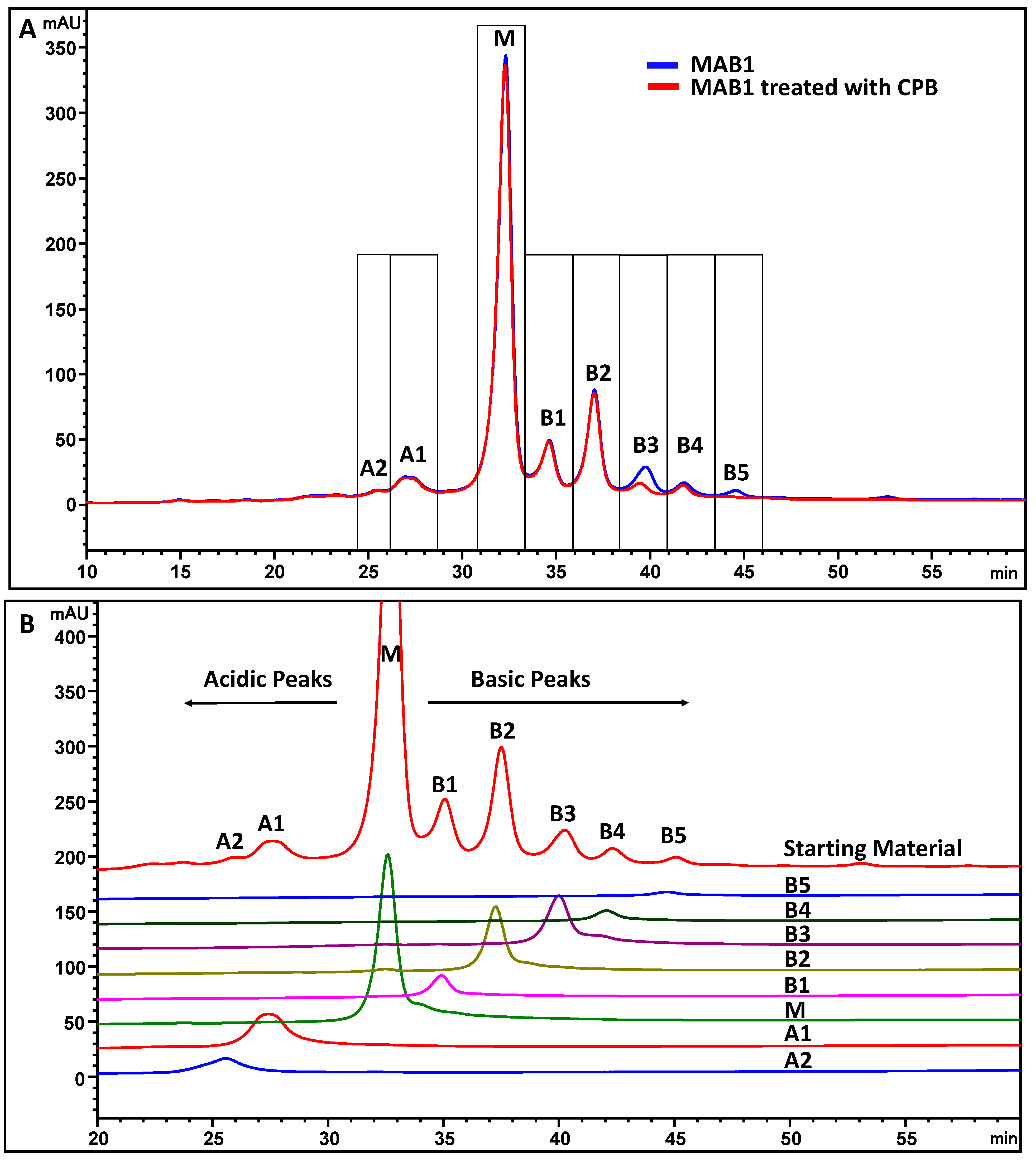 Antibodies 13 00052 g004