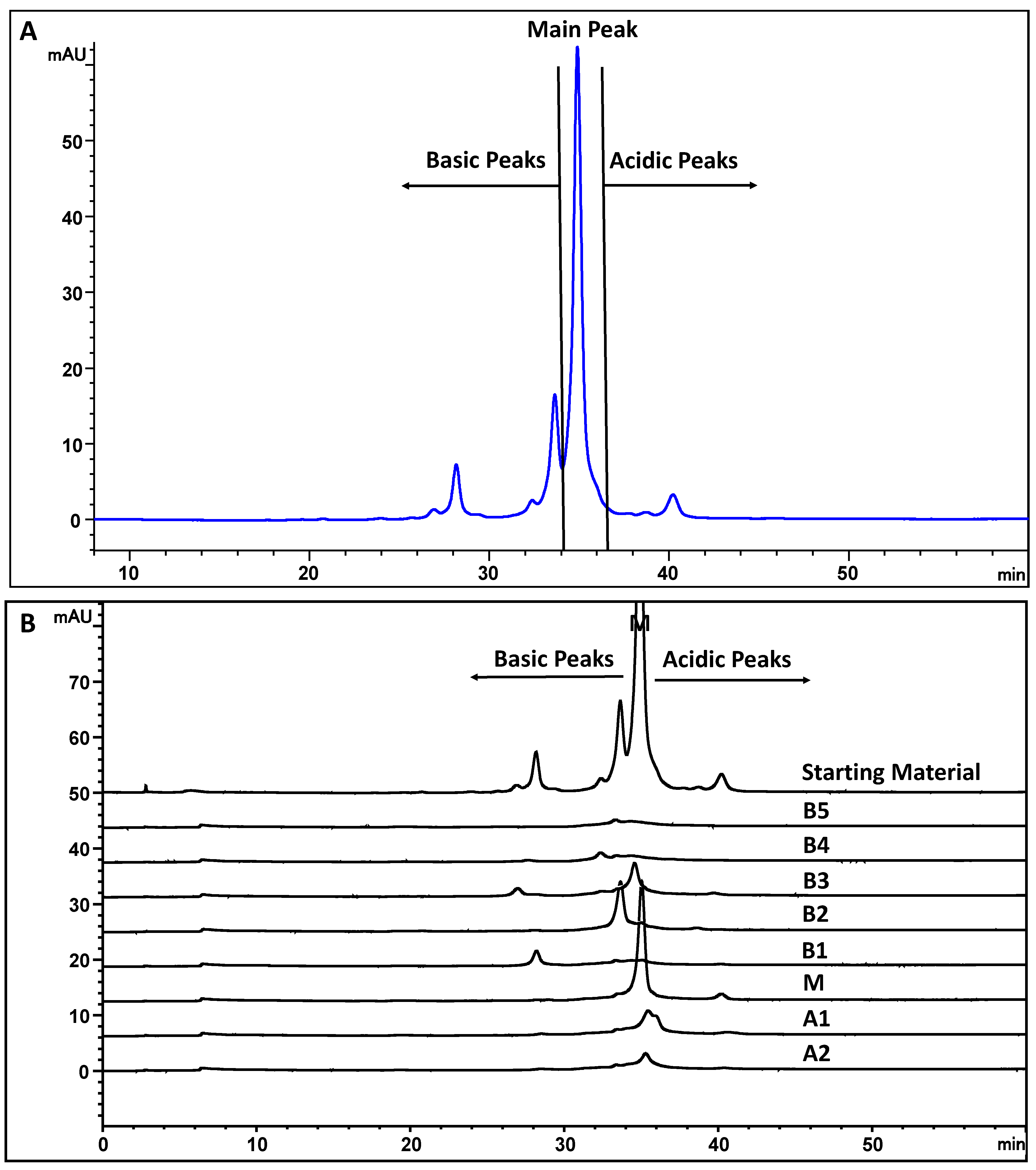 Antibodies 13 00052 g008