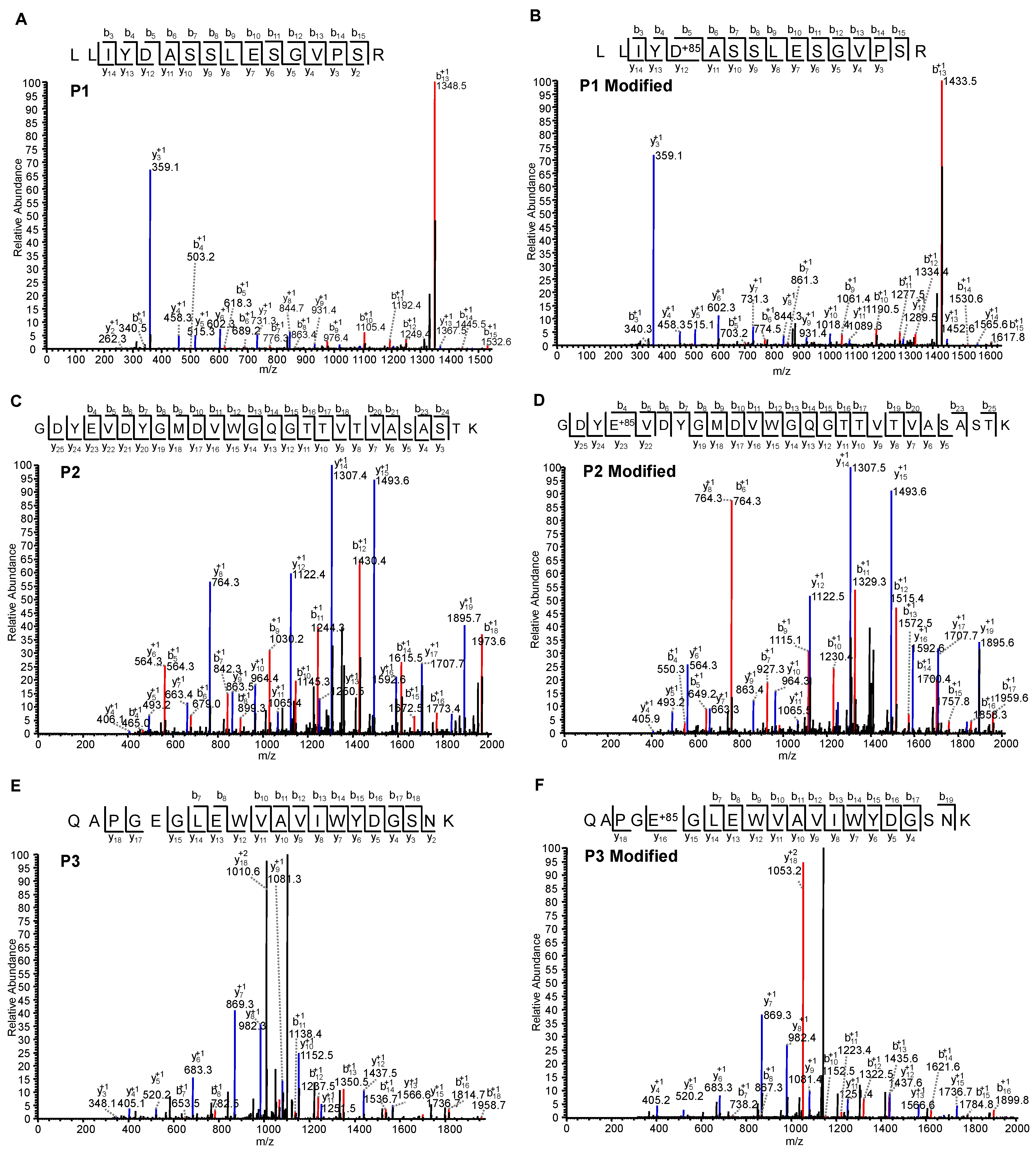 Antibodies 13 00052 g010