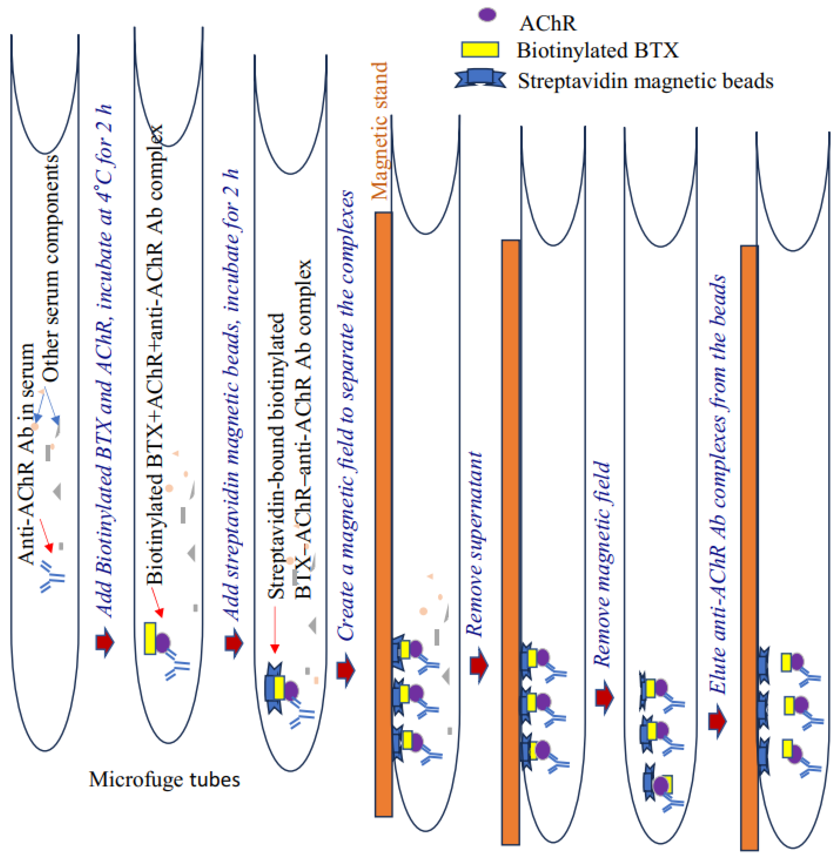 Antibodies 13 00053 g001