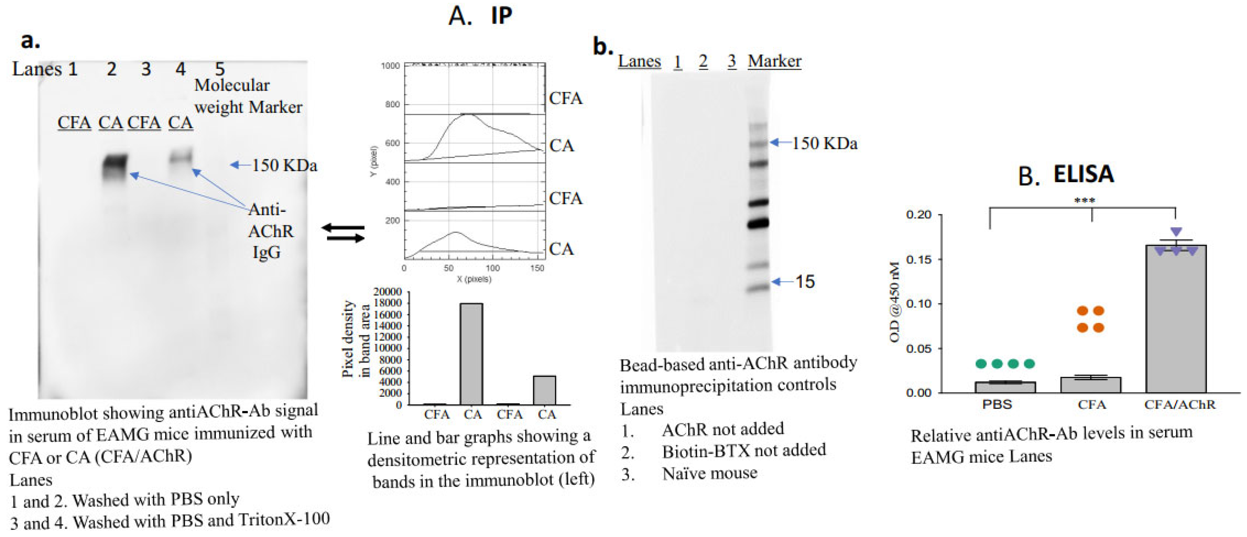 Antibodies 13 00053 g002