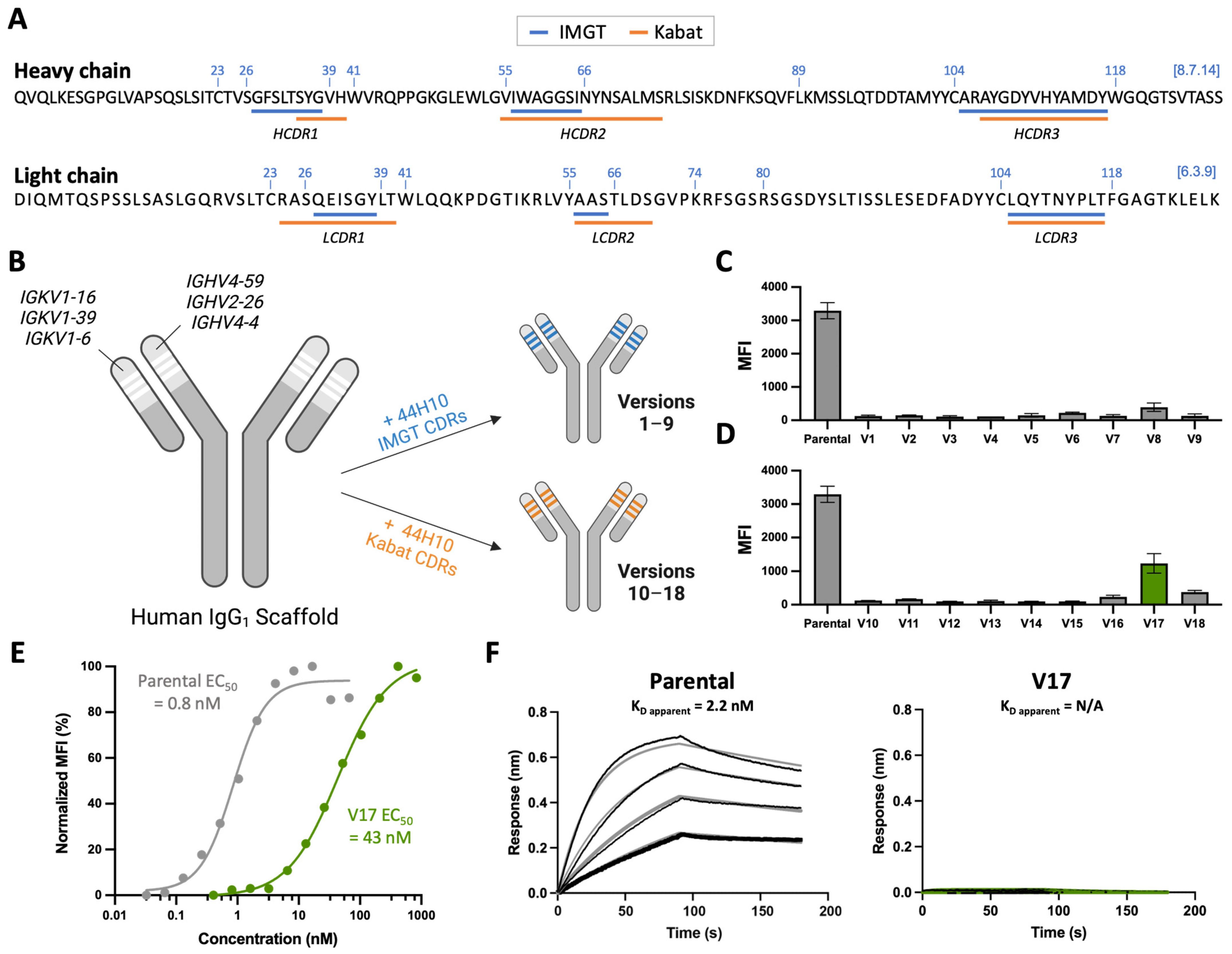 Antibodies 13 00057 g001