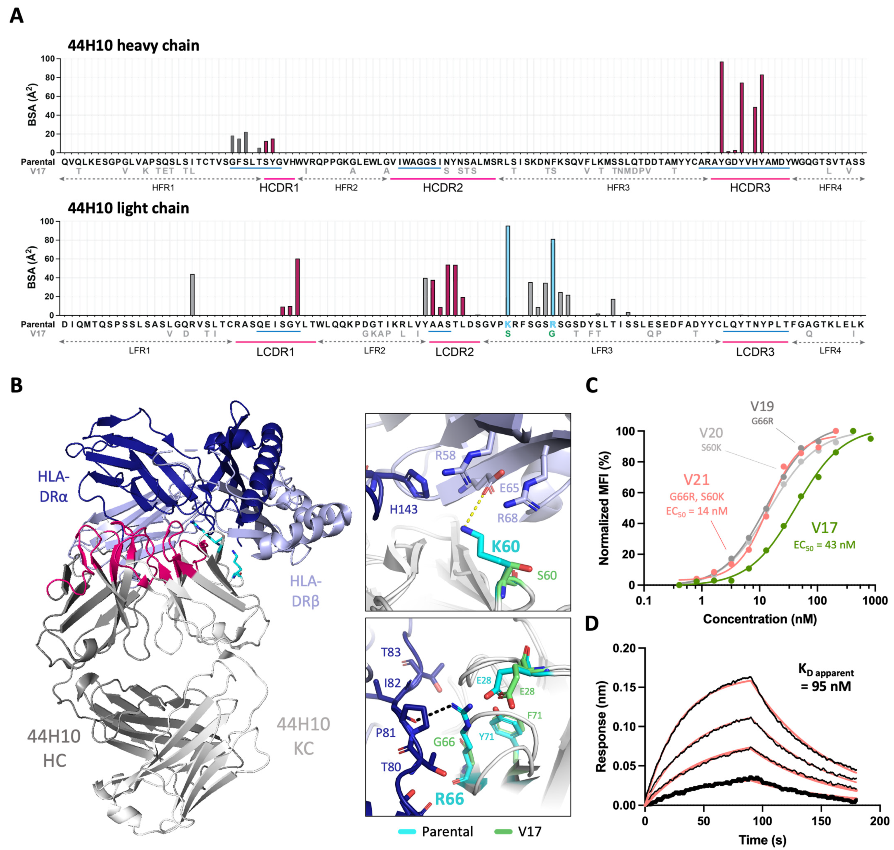 Antibodies 13 00057 g002