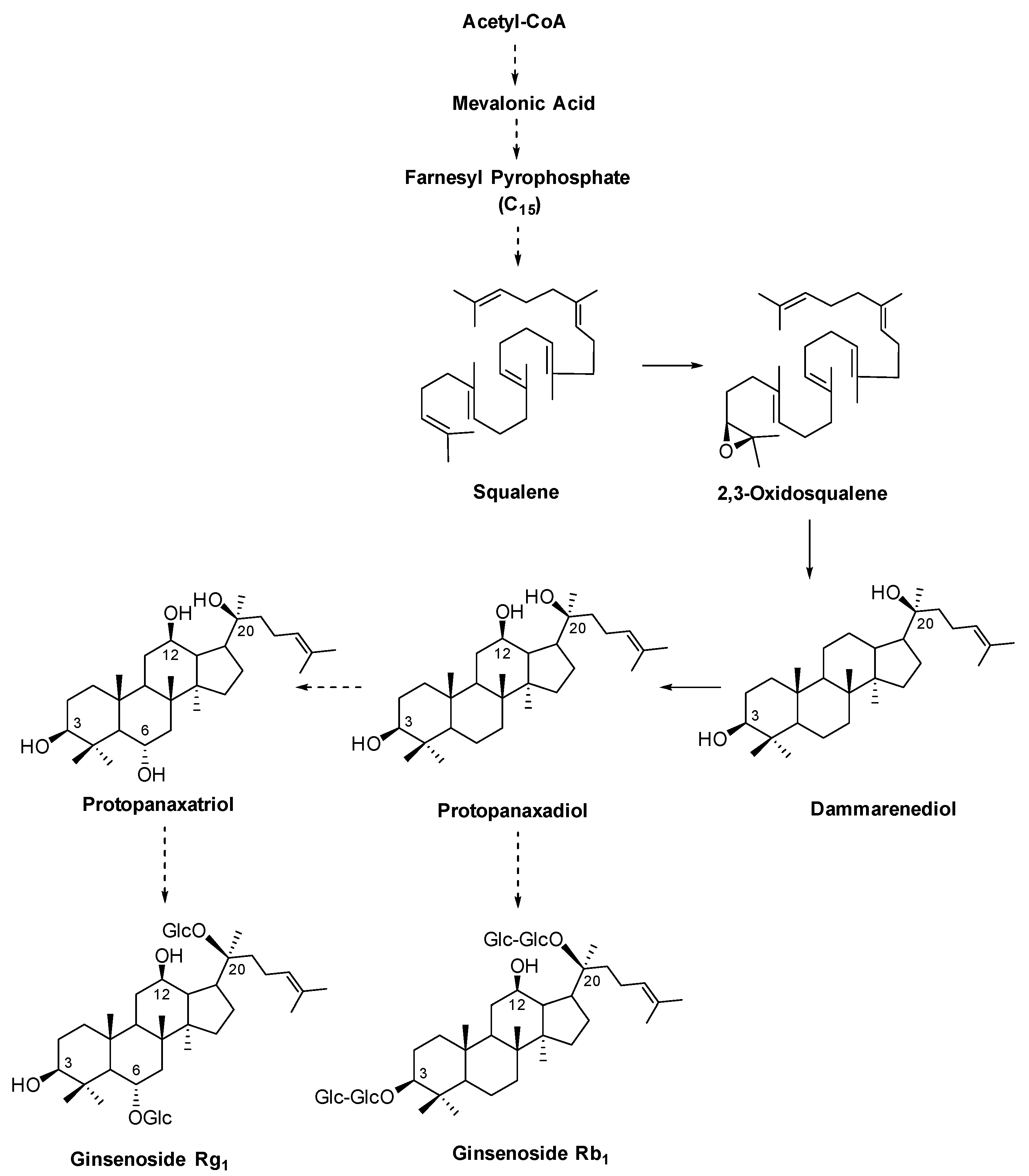 Antibodies 13 00060 g001