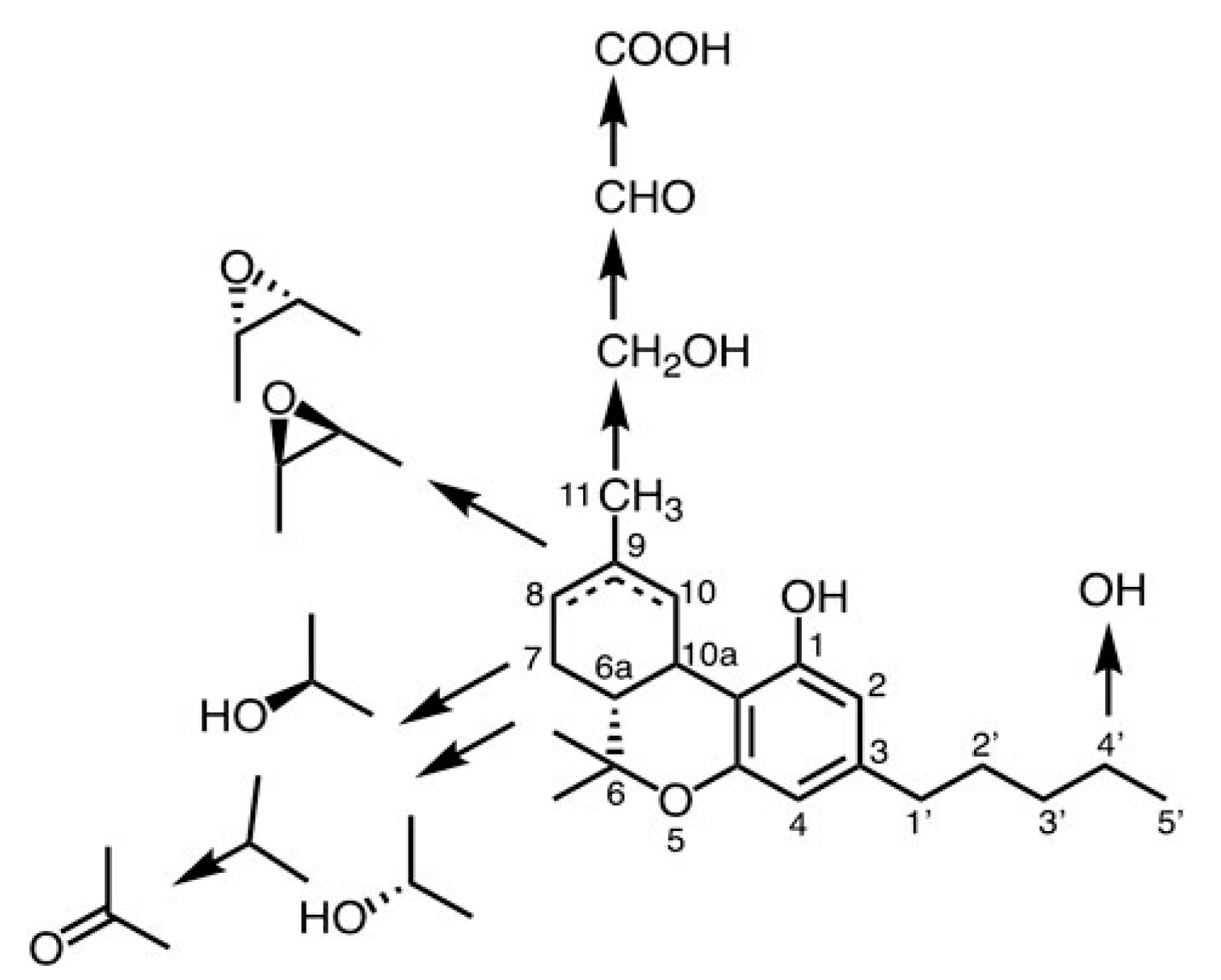 Antibodies 13 00060 g002