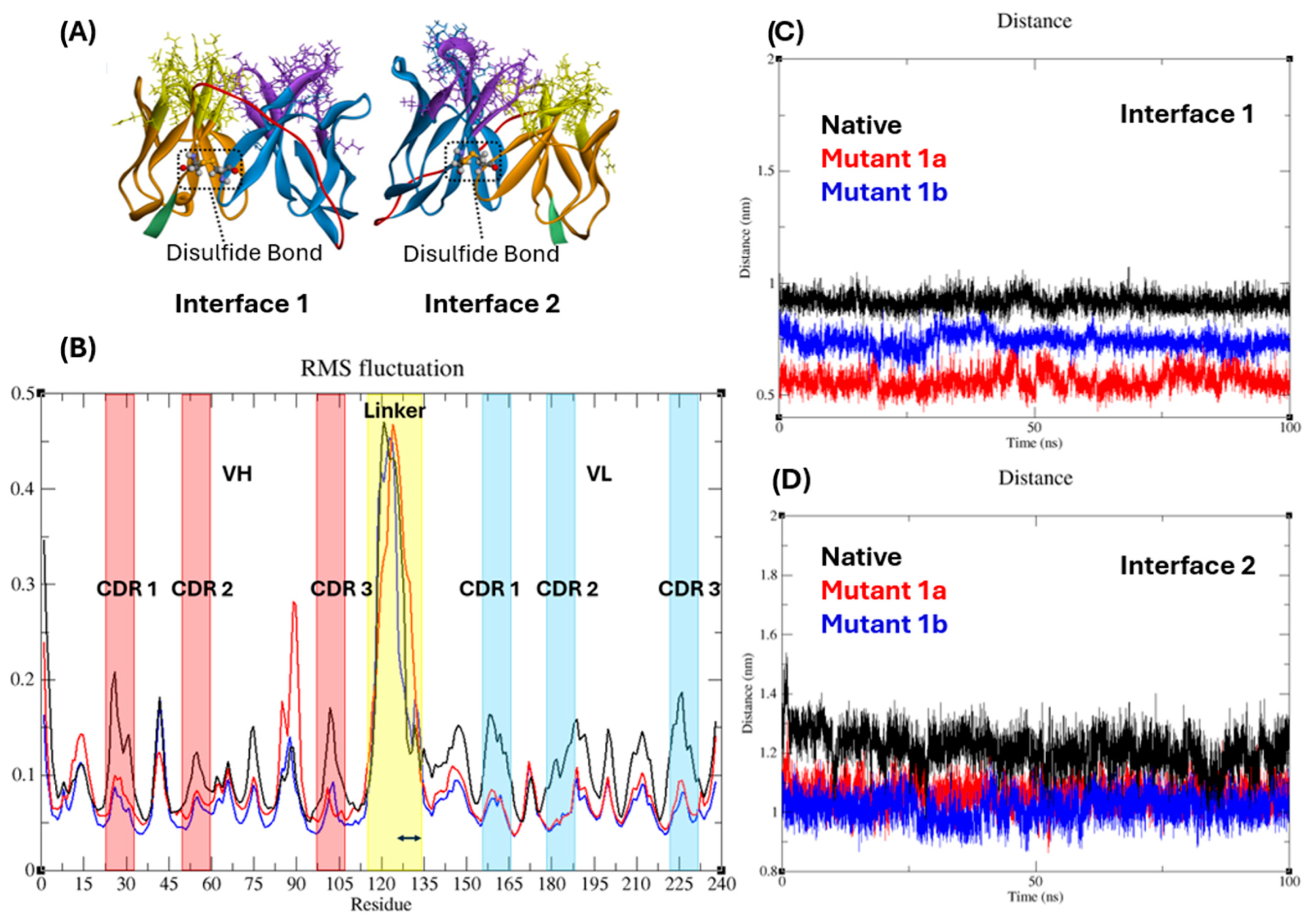 Antibodies 13 00064 g002 Antibodies 13 00064 g002