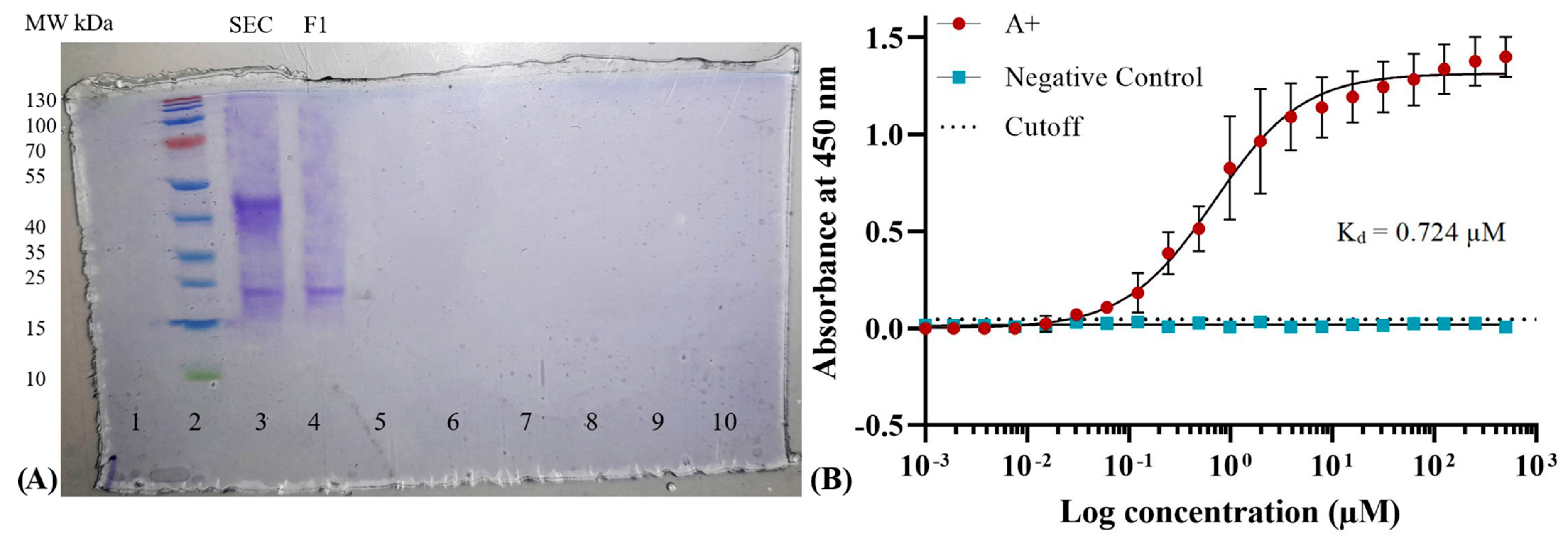 Antibodies 13 00064 g009 Antibodies 13 00064 g009