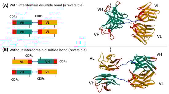 Antibodies 13 00064 g0a10
