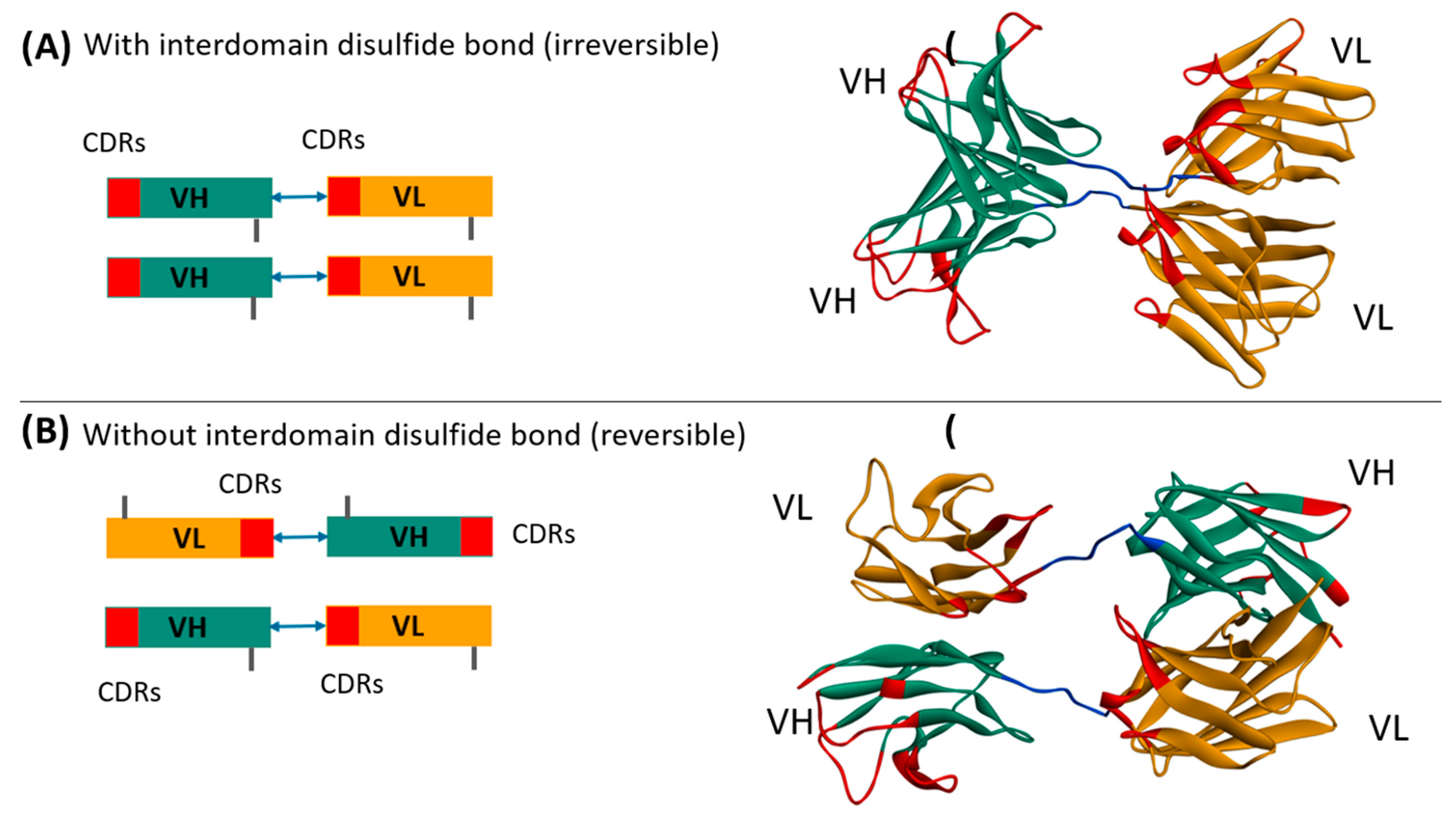 Antibodies 13 00064 g0a10 Antibodies 13 00064 g0a10