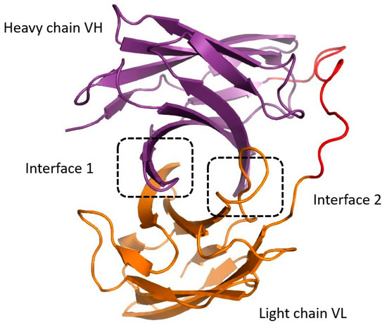 Antibodies 13 00064 g0a2
