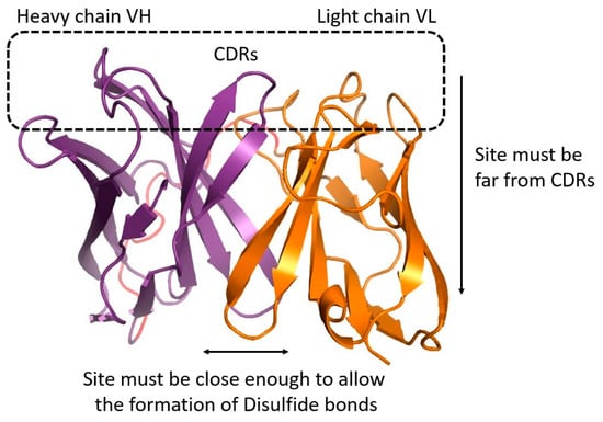 Antibodies 13 00064 g0a3