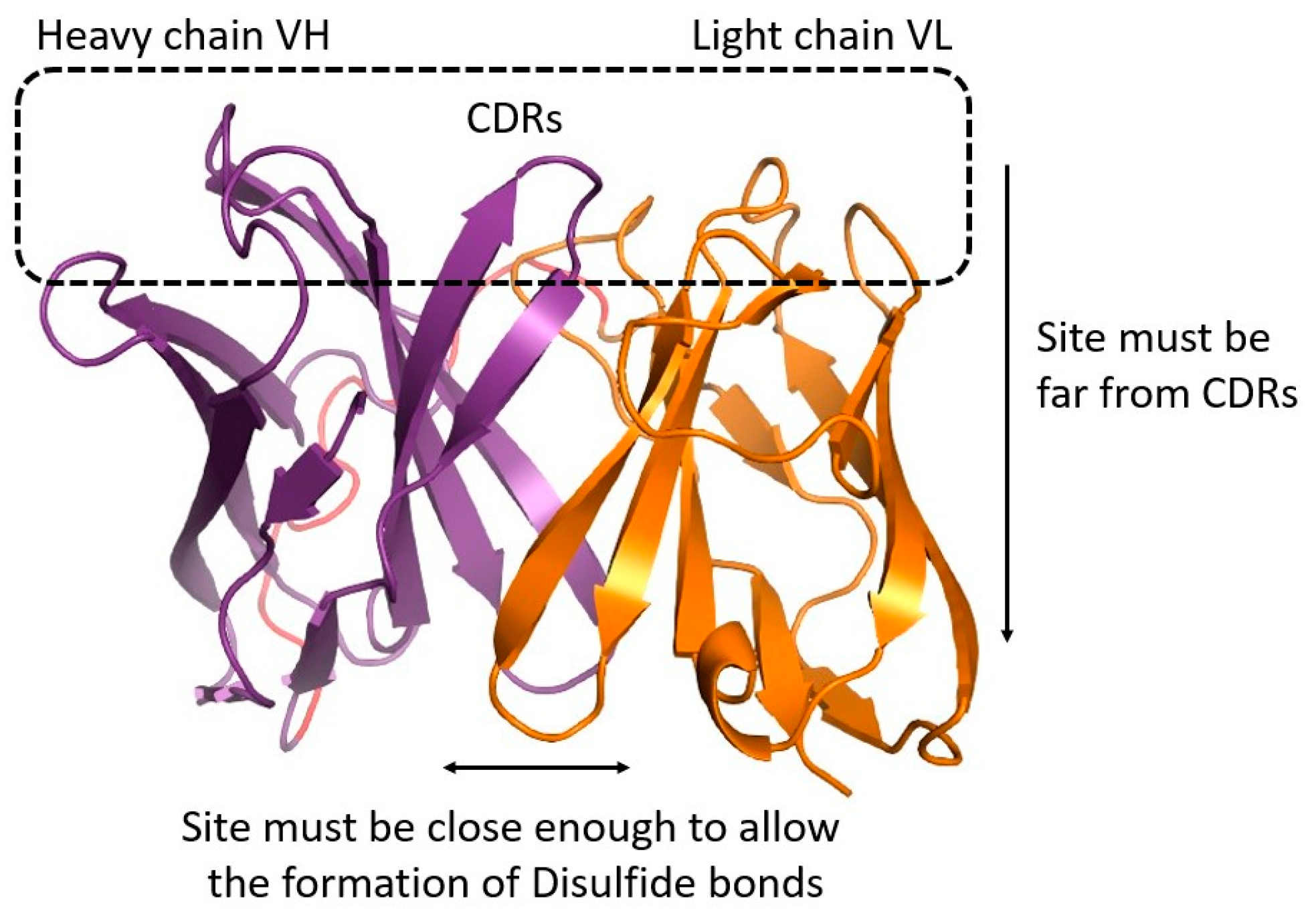 Antibodies 13 00064 g0a3 Antibodies 13 00064 g0a3