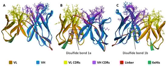 Antibodies 13 00064 g0a5