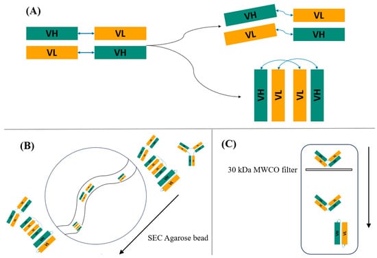 Antibodies 13 00064 g0a9