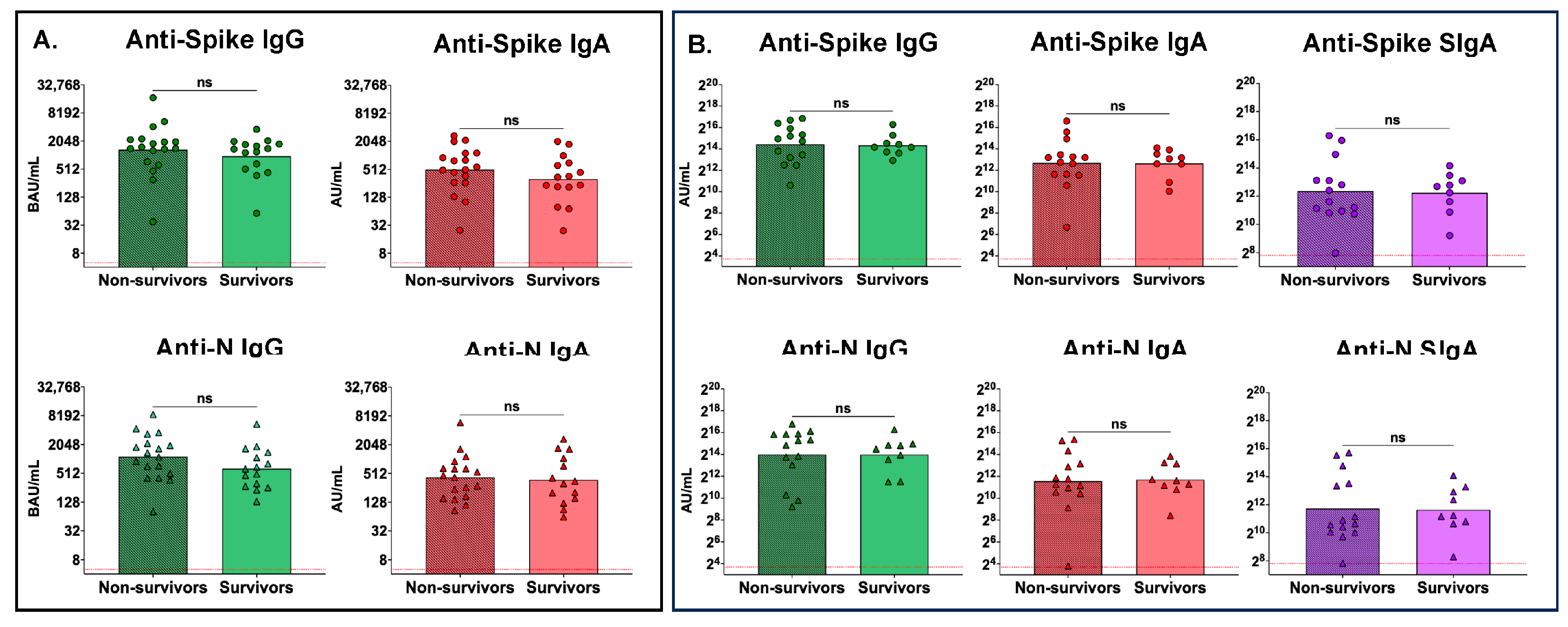 Antibodies 13 00065 g004