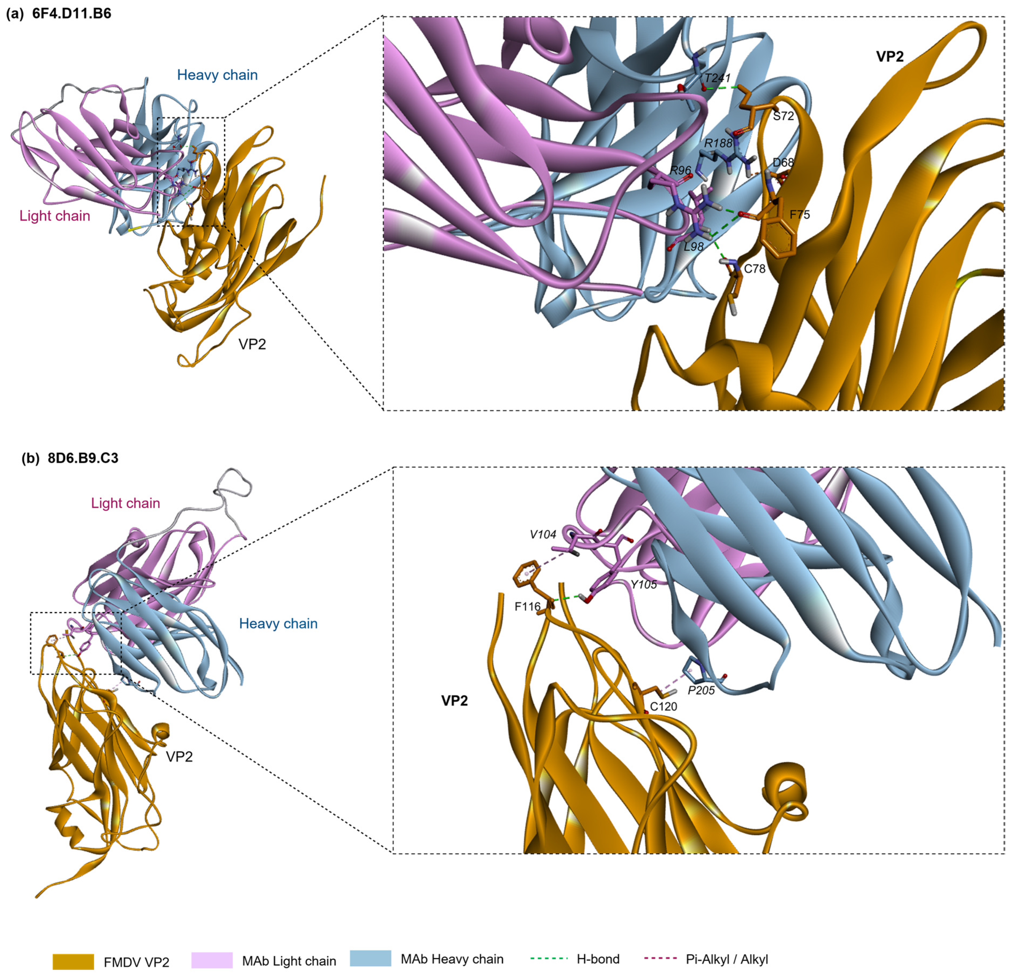 Antibodies 13 00067 g005