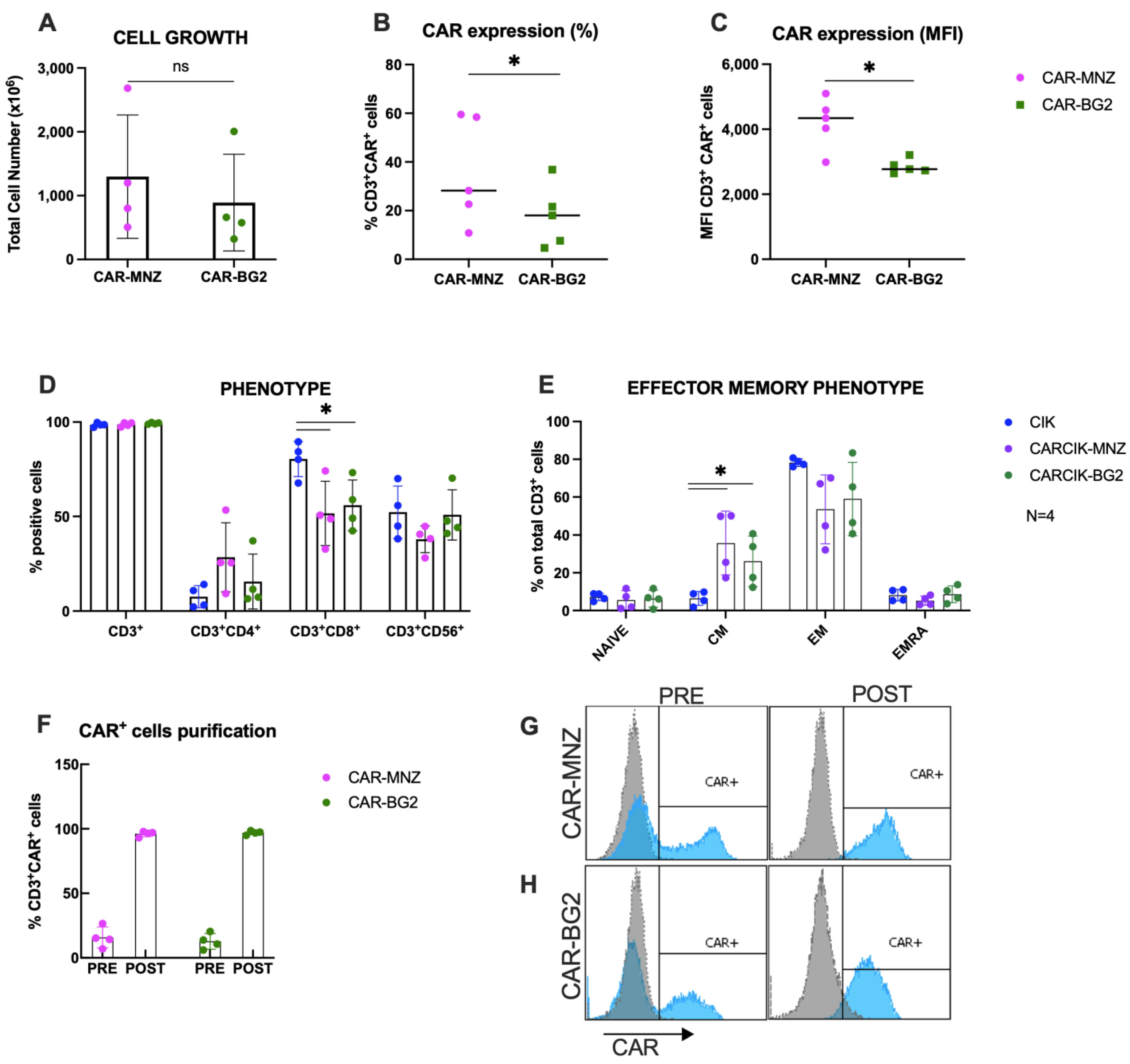 Antibodies 13 00071 g002