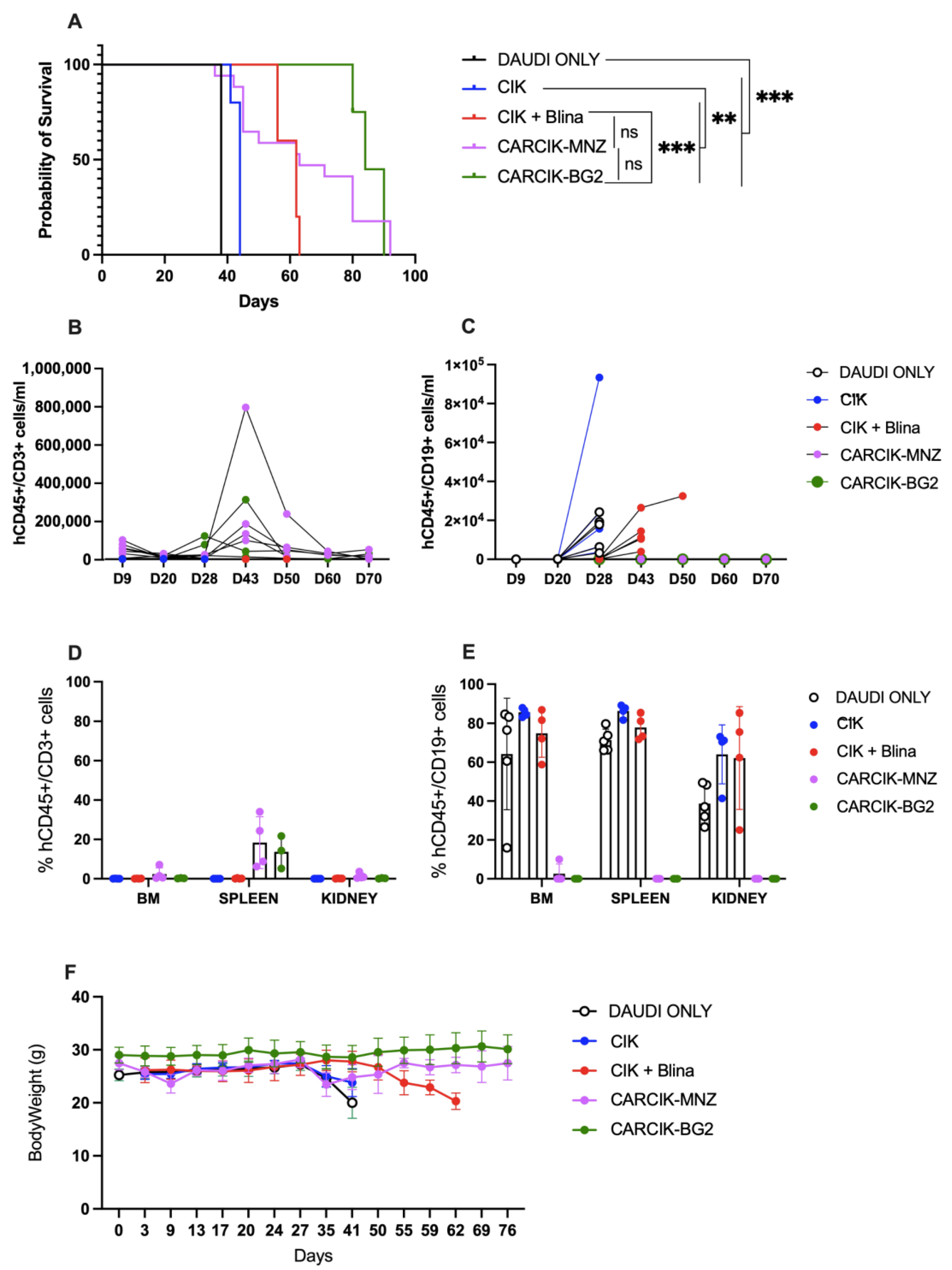Antibodies 13 00071 g005