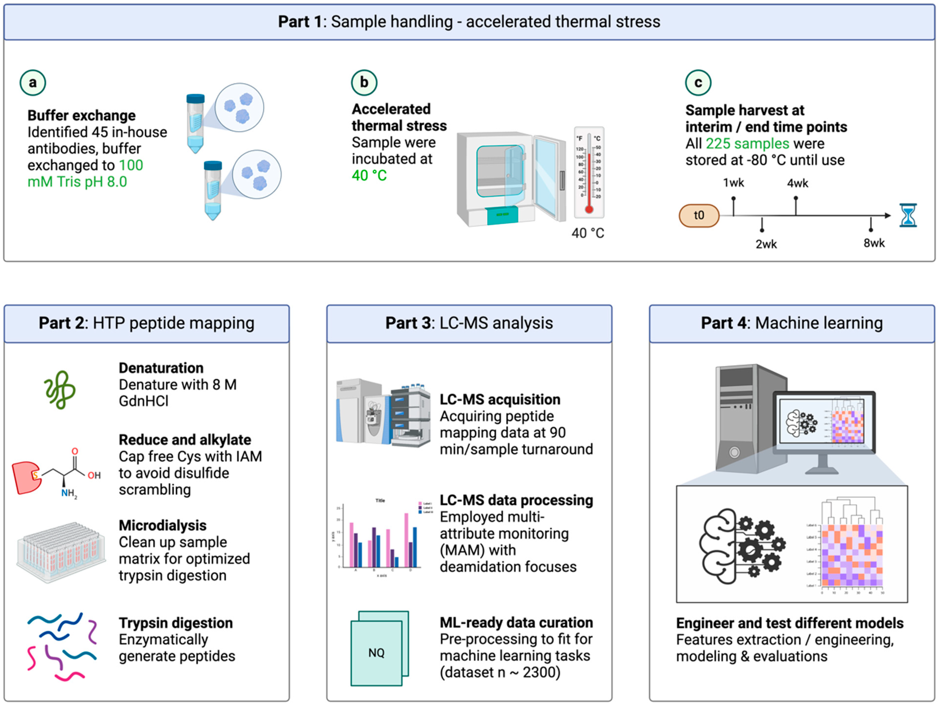 Antibodies 13 00074 g001