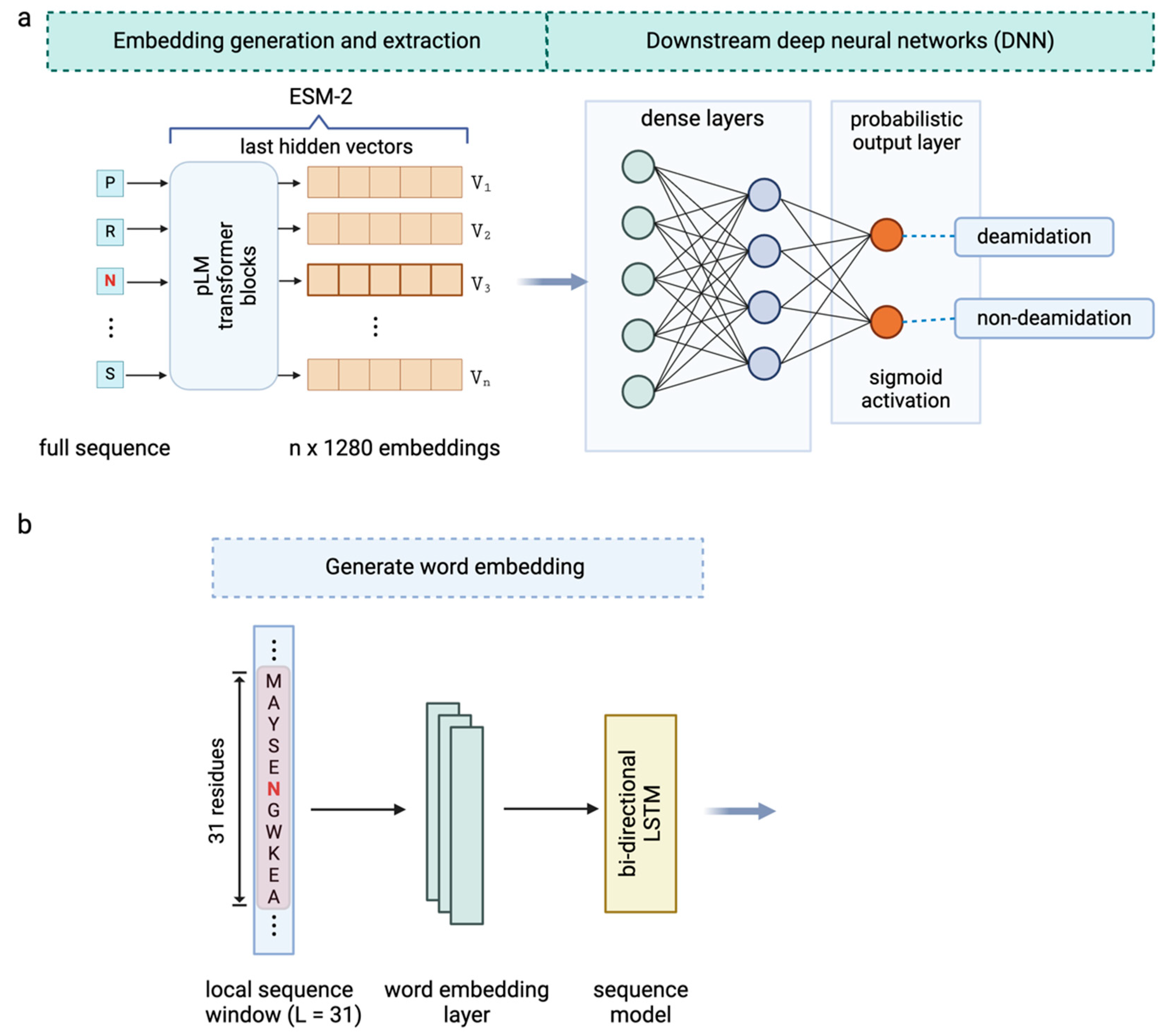 Antibodies 13 00074 g003