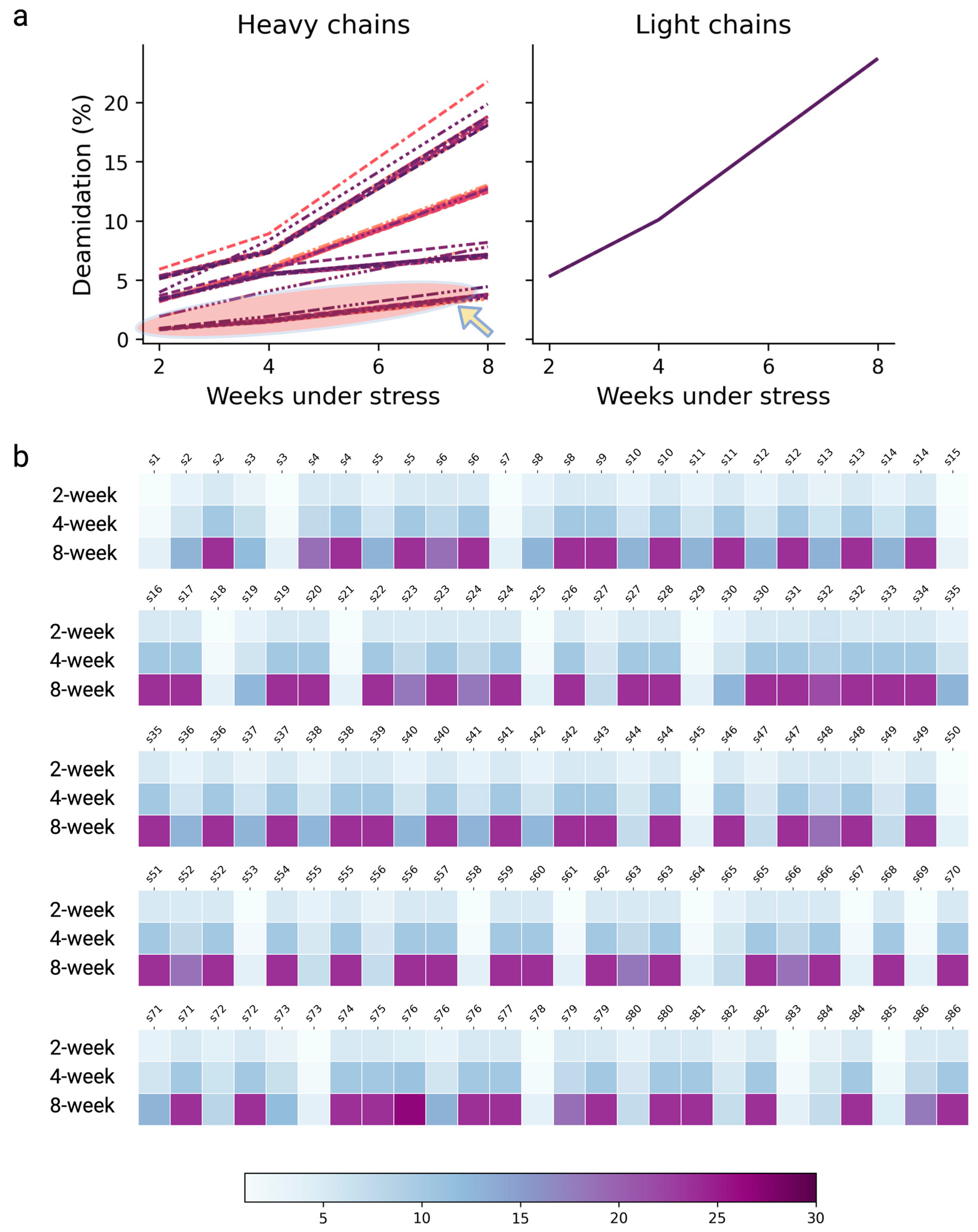 Antibodies 13 00074 g007