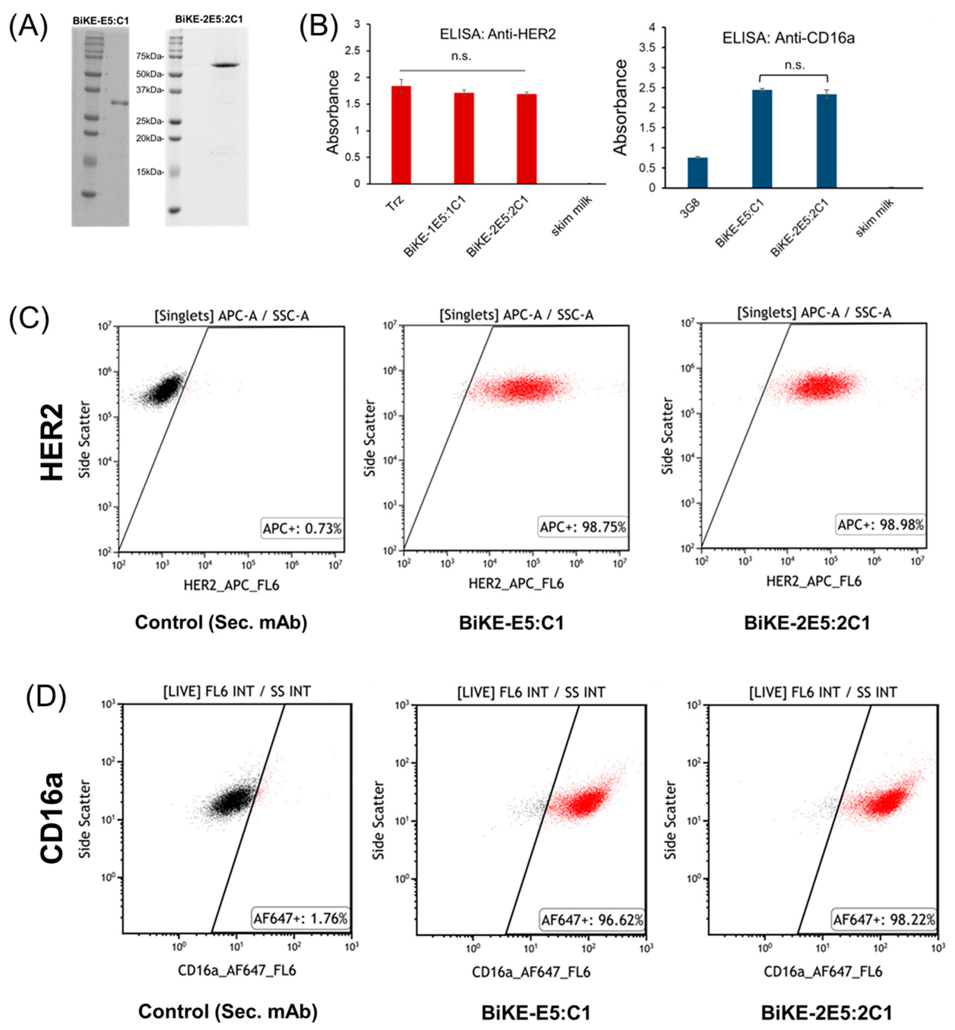 Antibodies 13 00075 g002