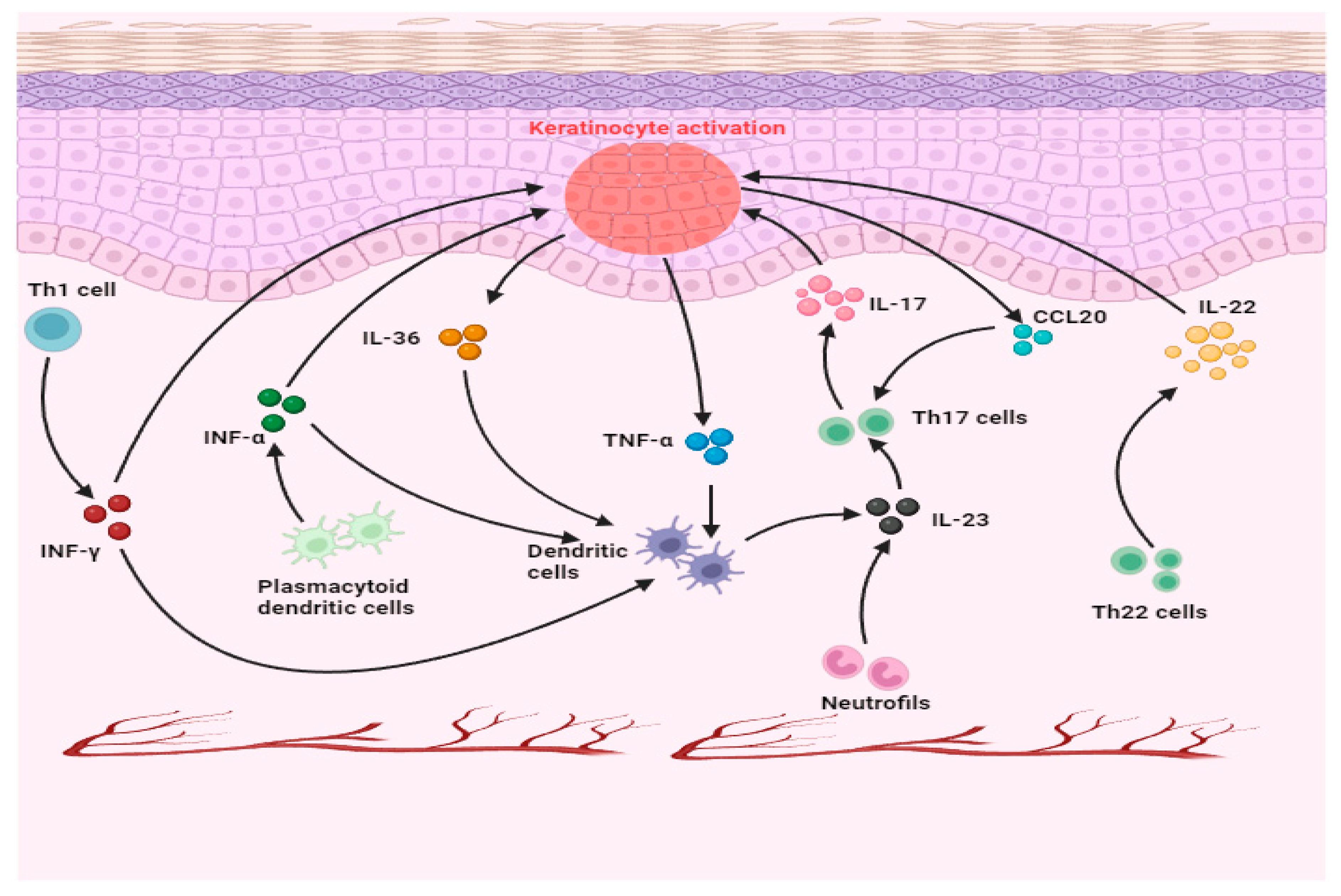 Antibodies 13 00076 g001