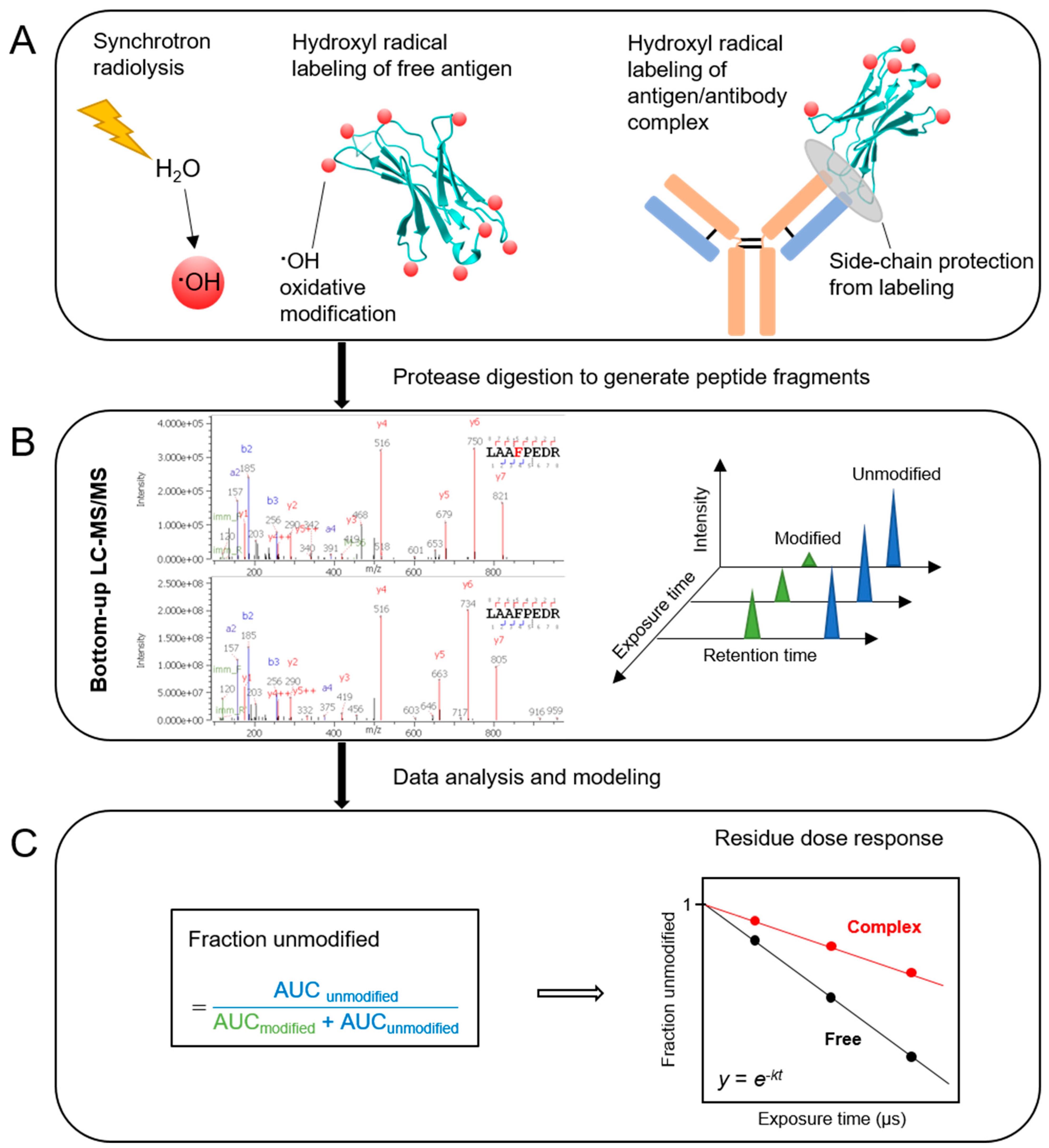 Antibodies 13 00077 g001