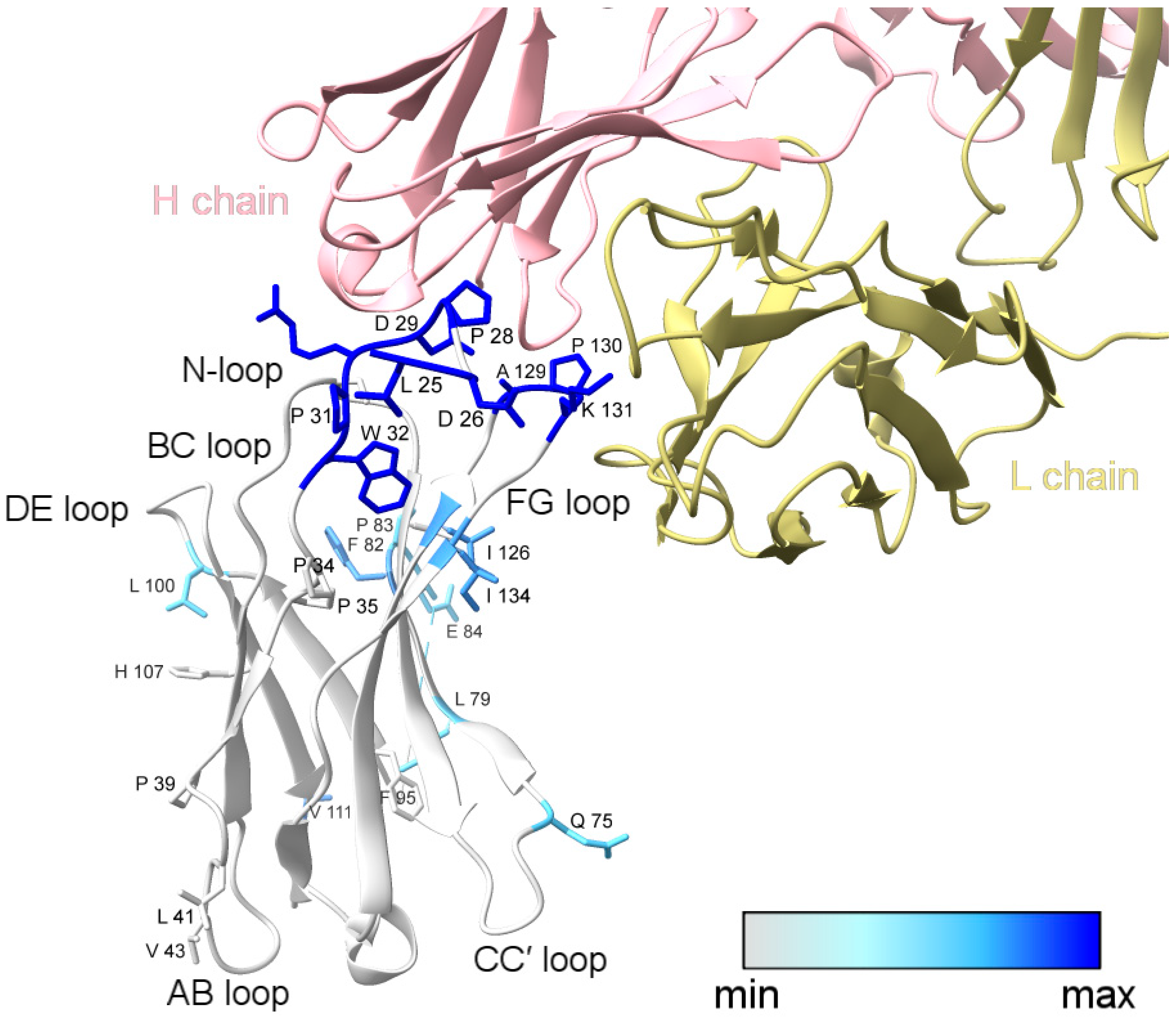 Antibodies 13 00077 g003