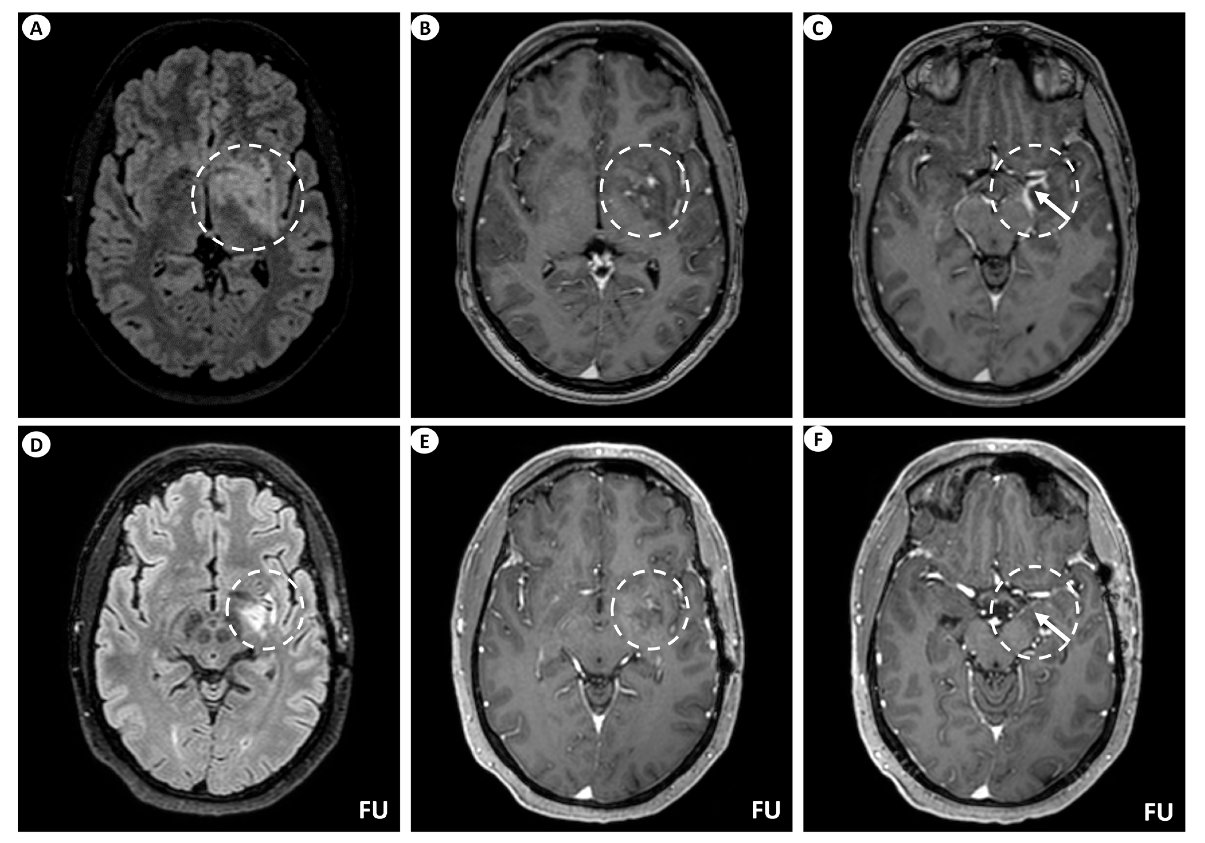 Antibodies 13 00079 g001